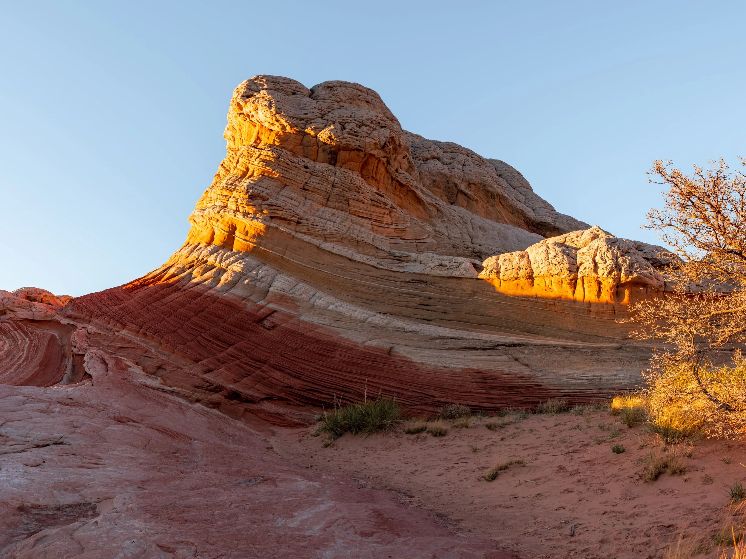 20250419-DSC_6399-HDR-Pano.jpg