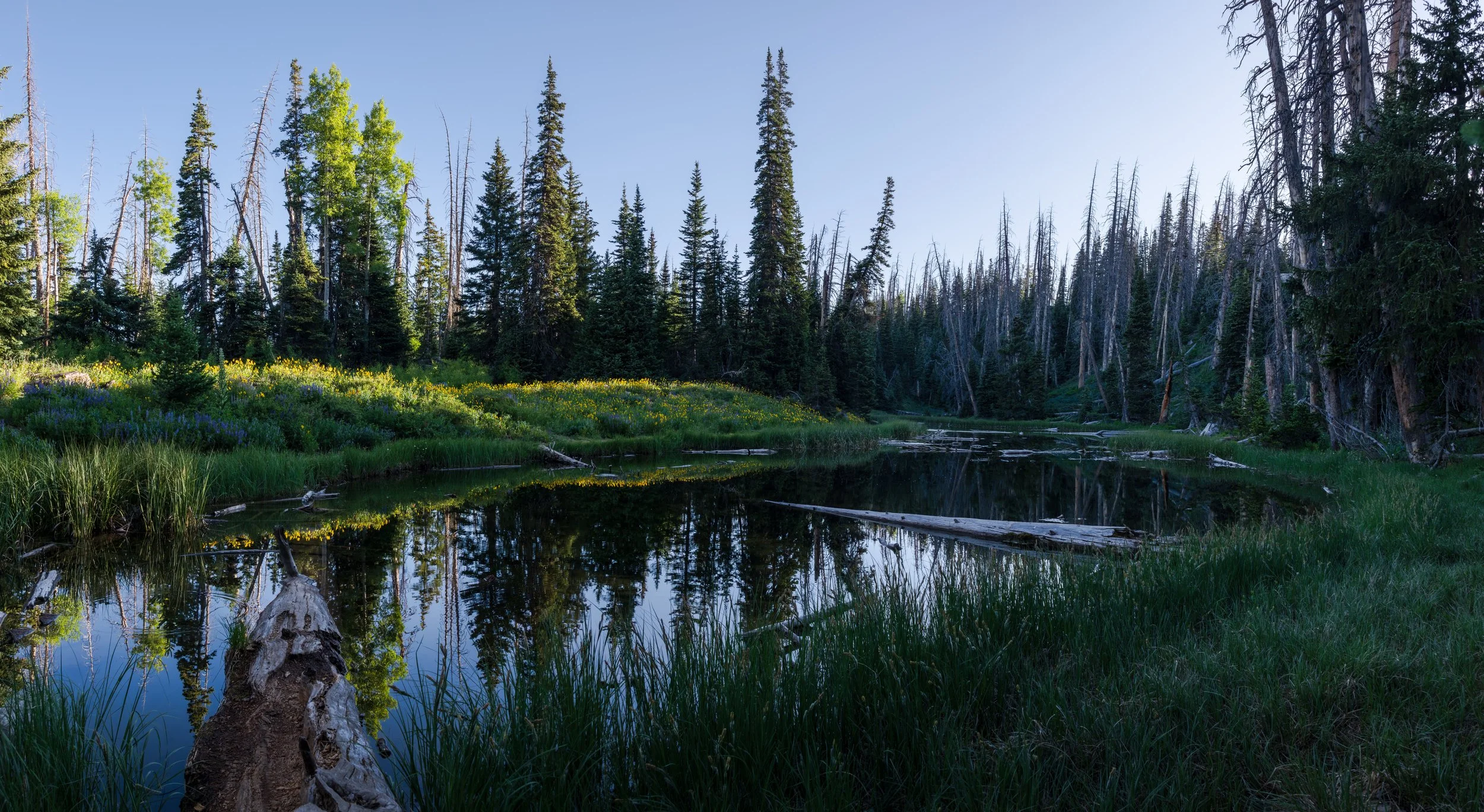 20250705-DSC_1240-HDR-Pano-Enhanced-NR.jpg