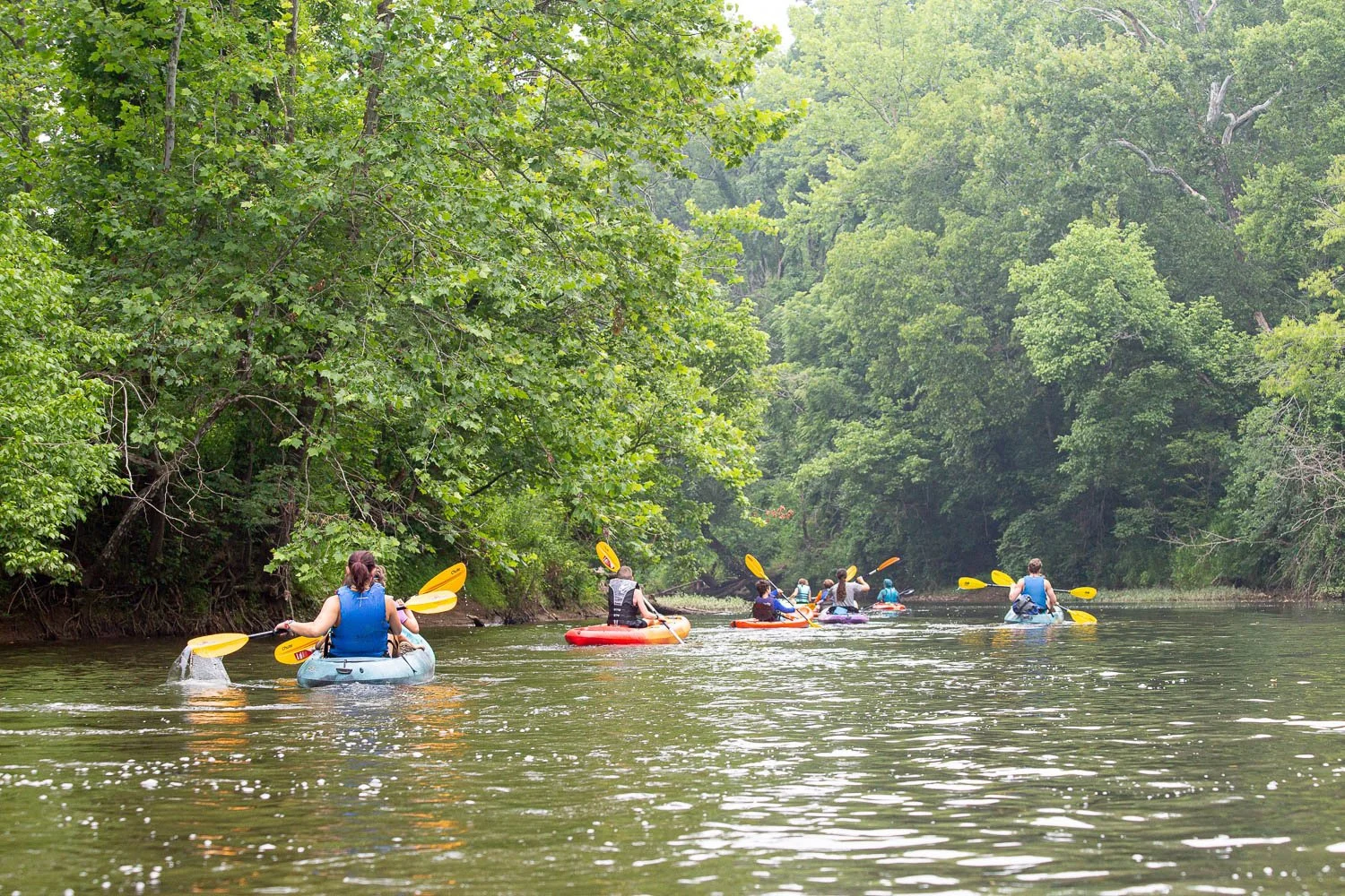 At CBI Camp: Journeys, a summer camp in Charlottesville, Virginia, campers kayak down the Rivanna River between a canopy of trees.
