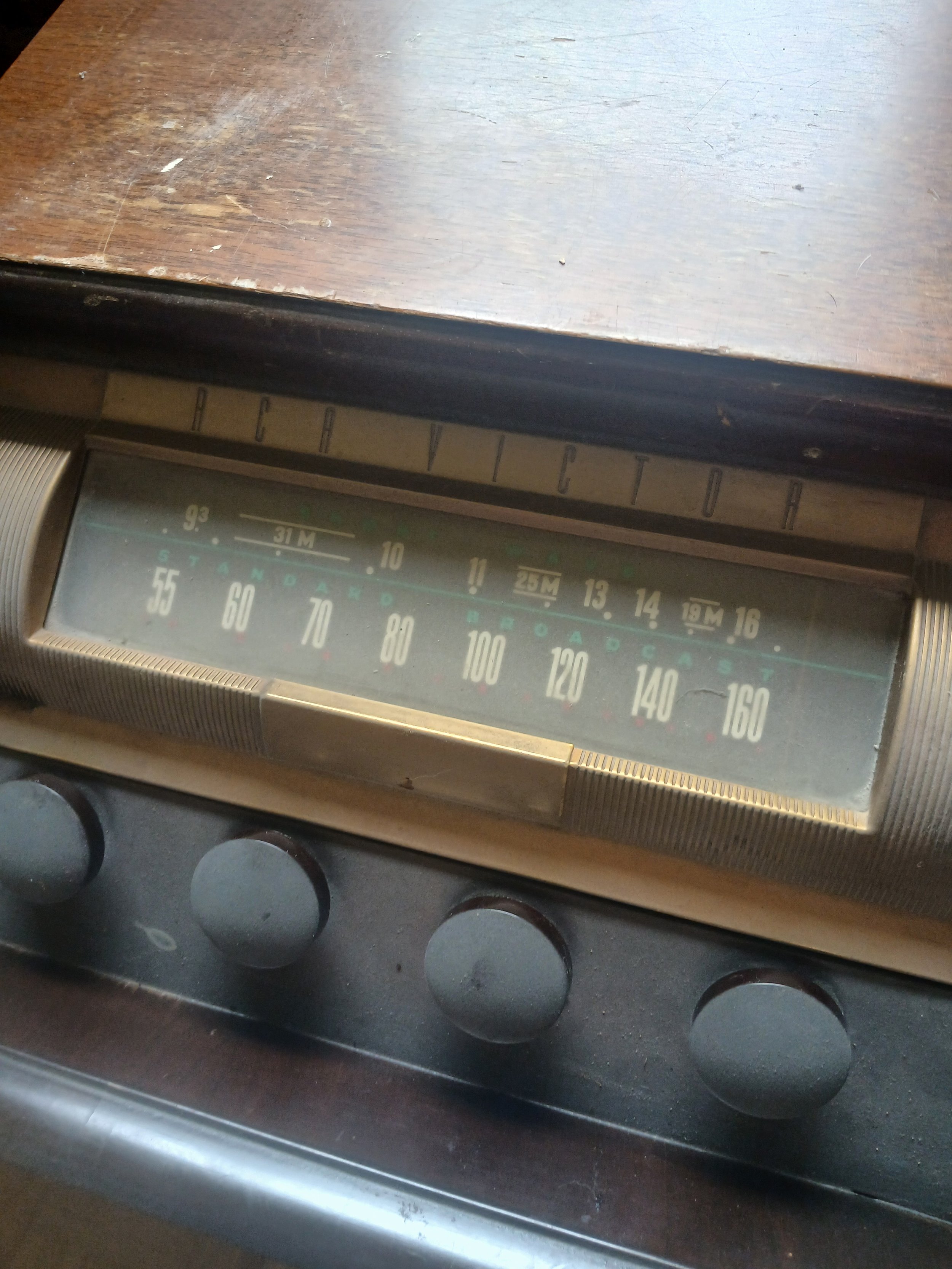 20260528_114535.jpg