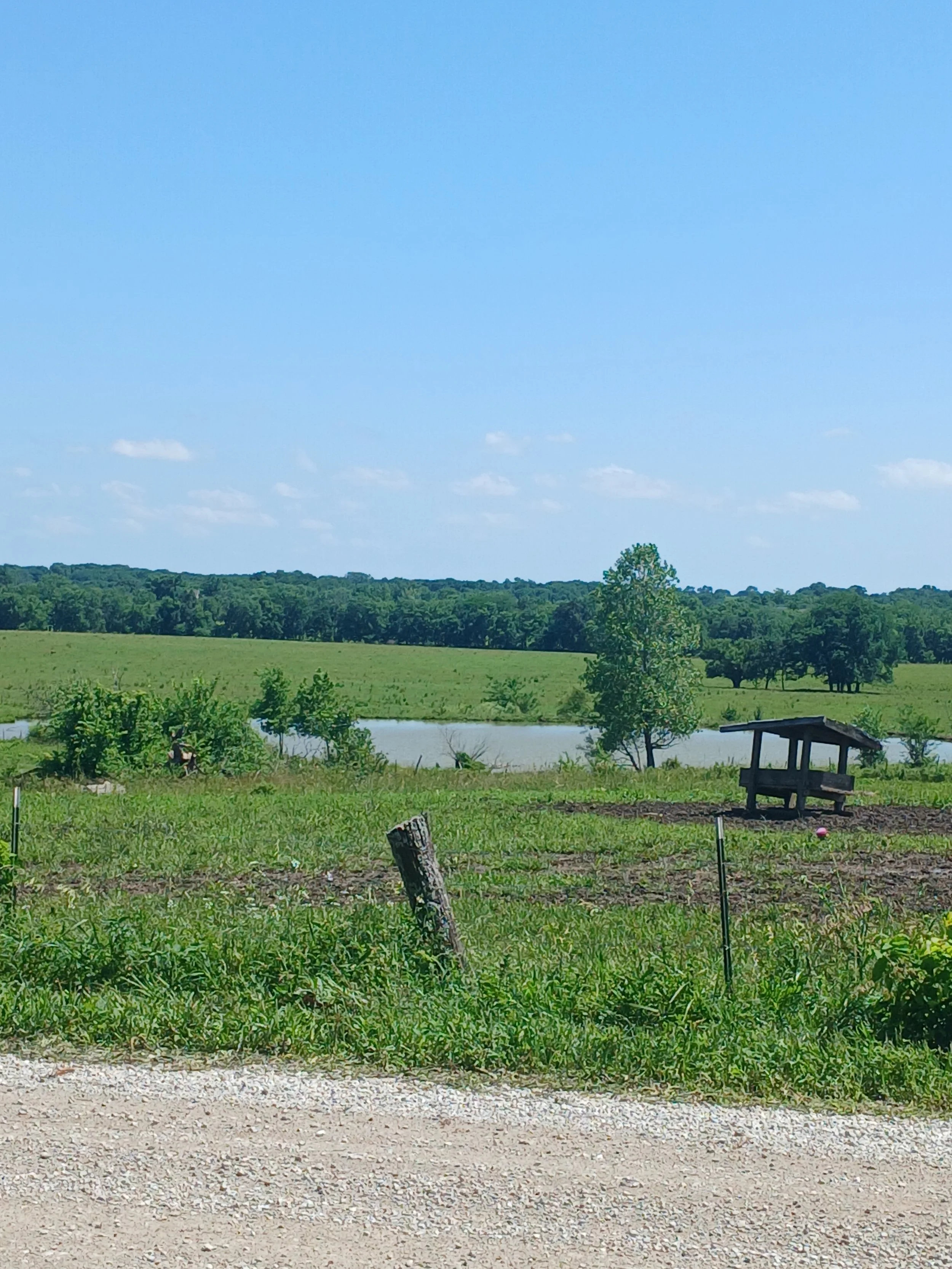 20260609_150743.jpg