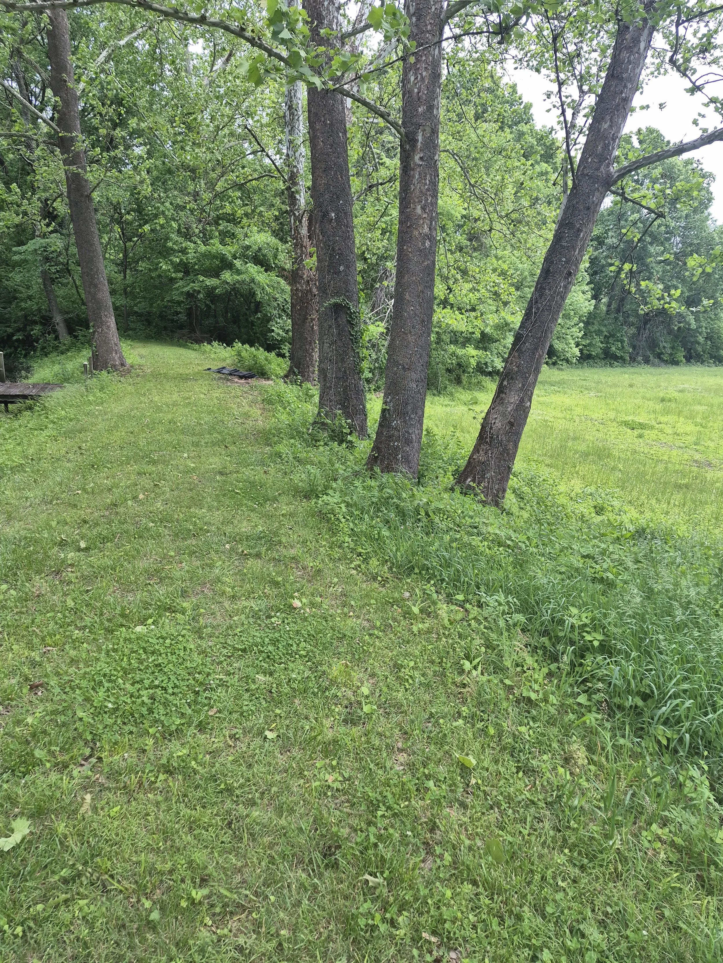 20260514_131920.jpg