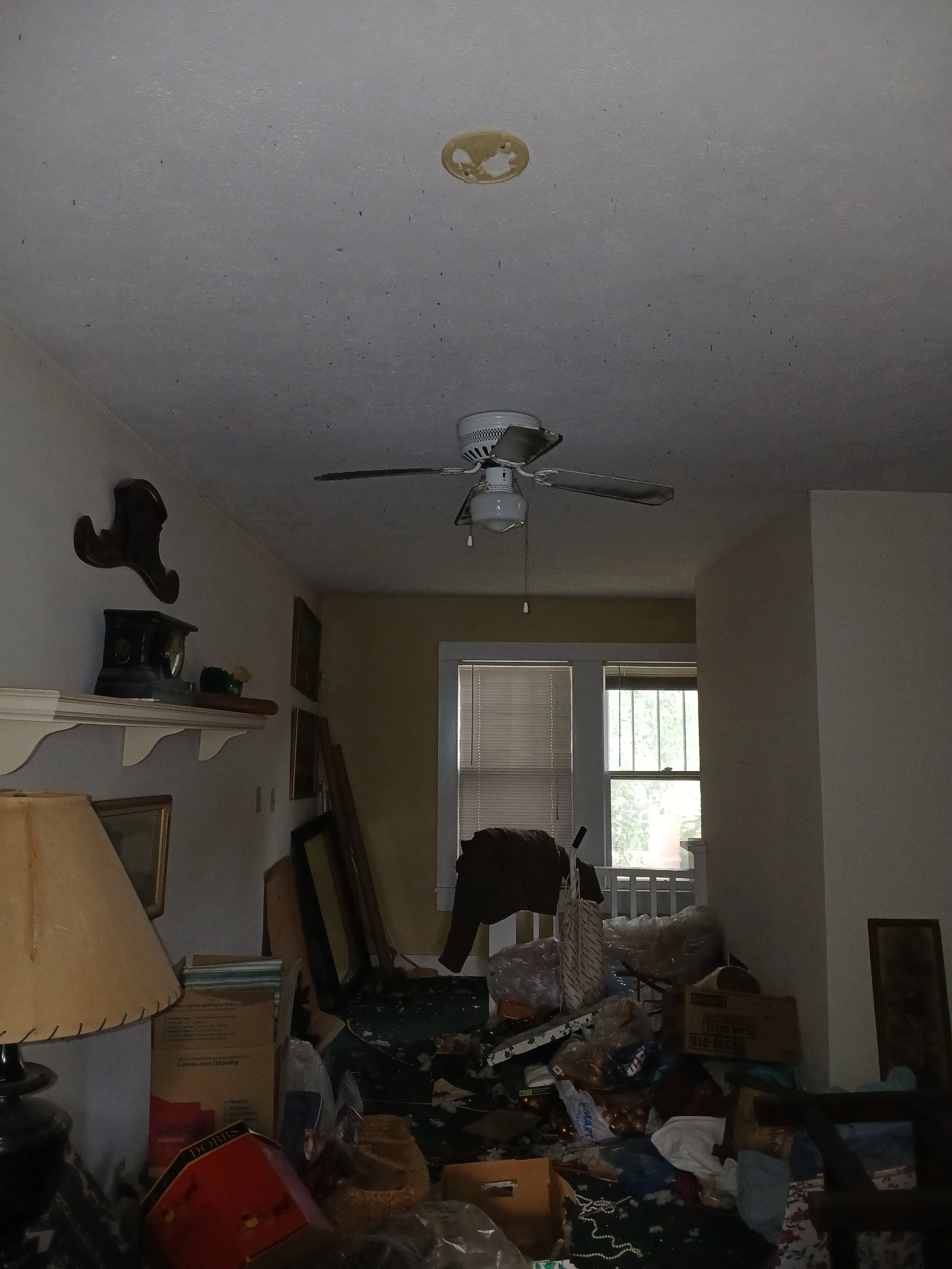 20250819_091452.jpg