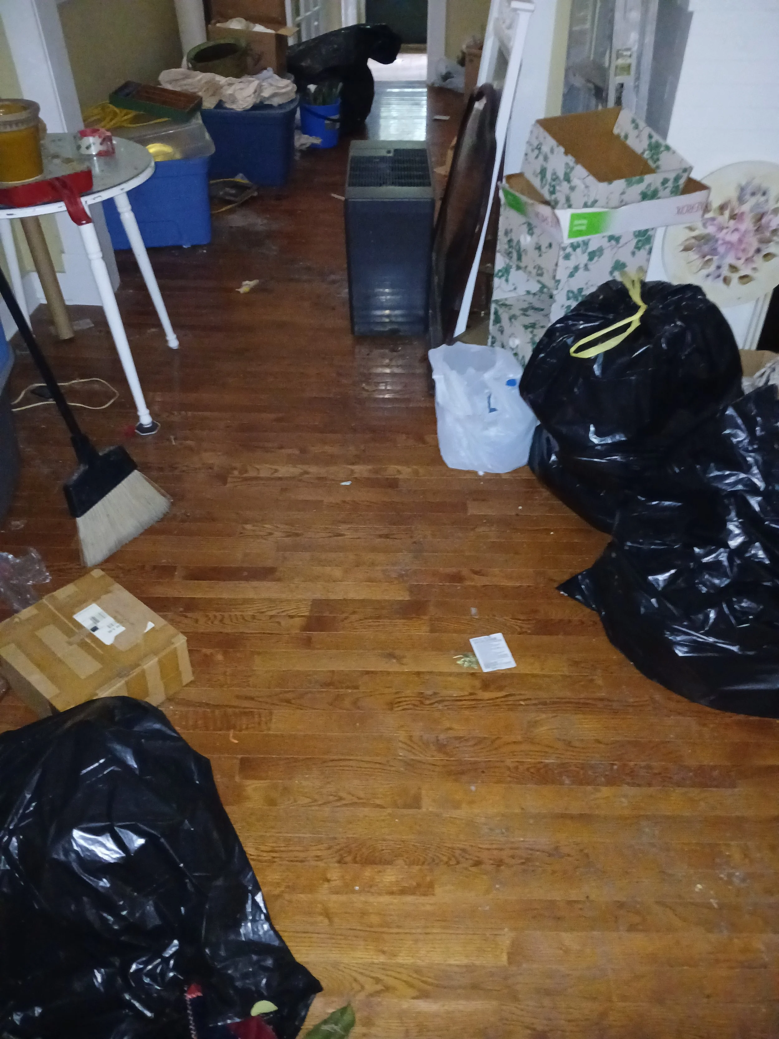 20250819_091535.jpg