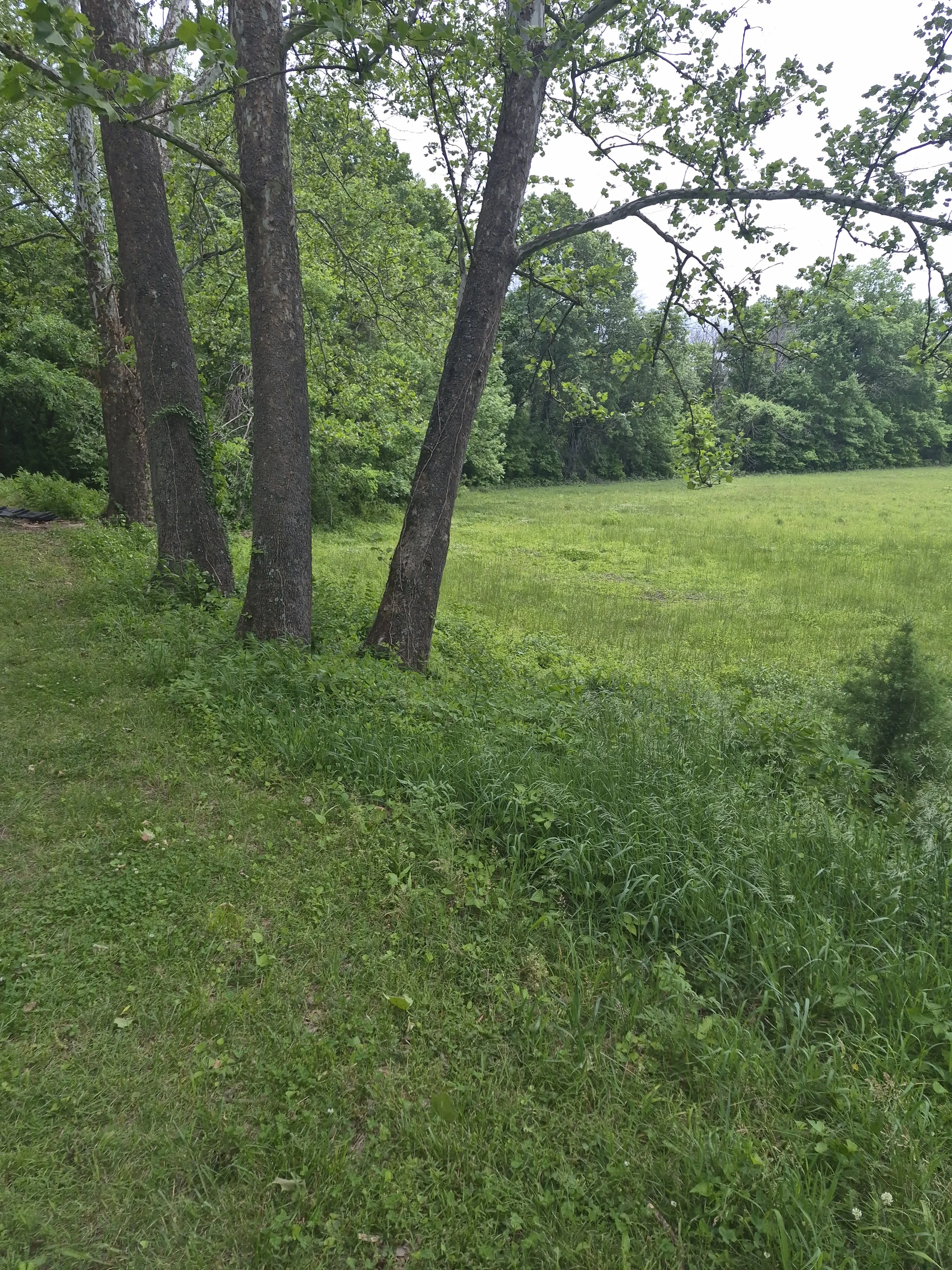 20260514_131921.jpg