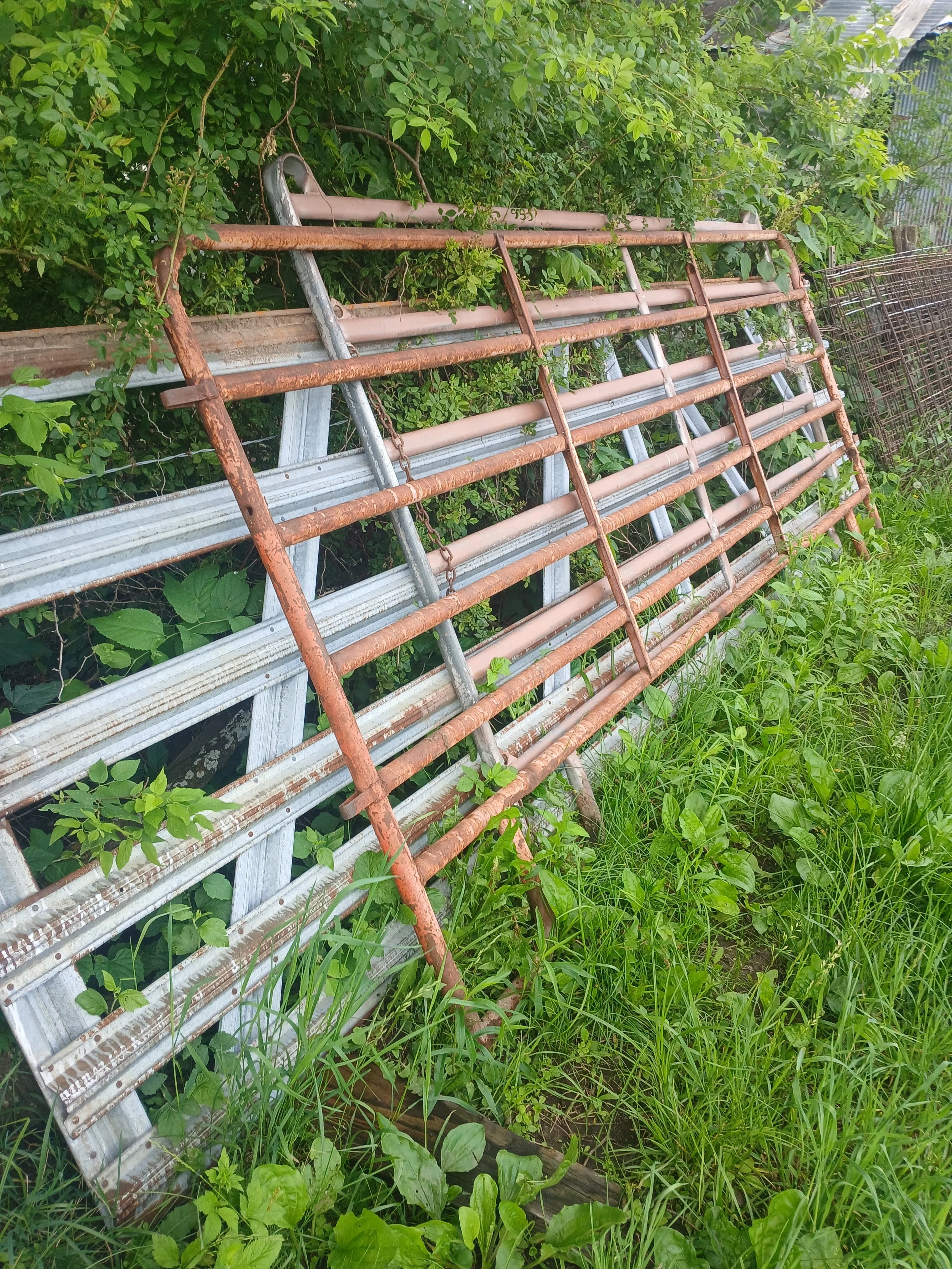 20260526_125701.jpg