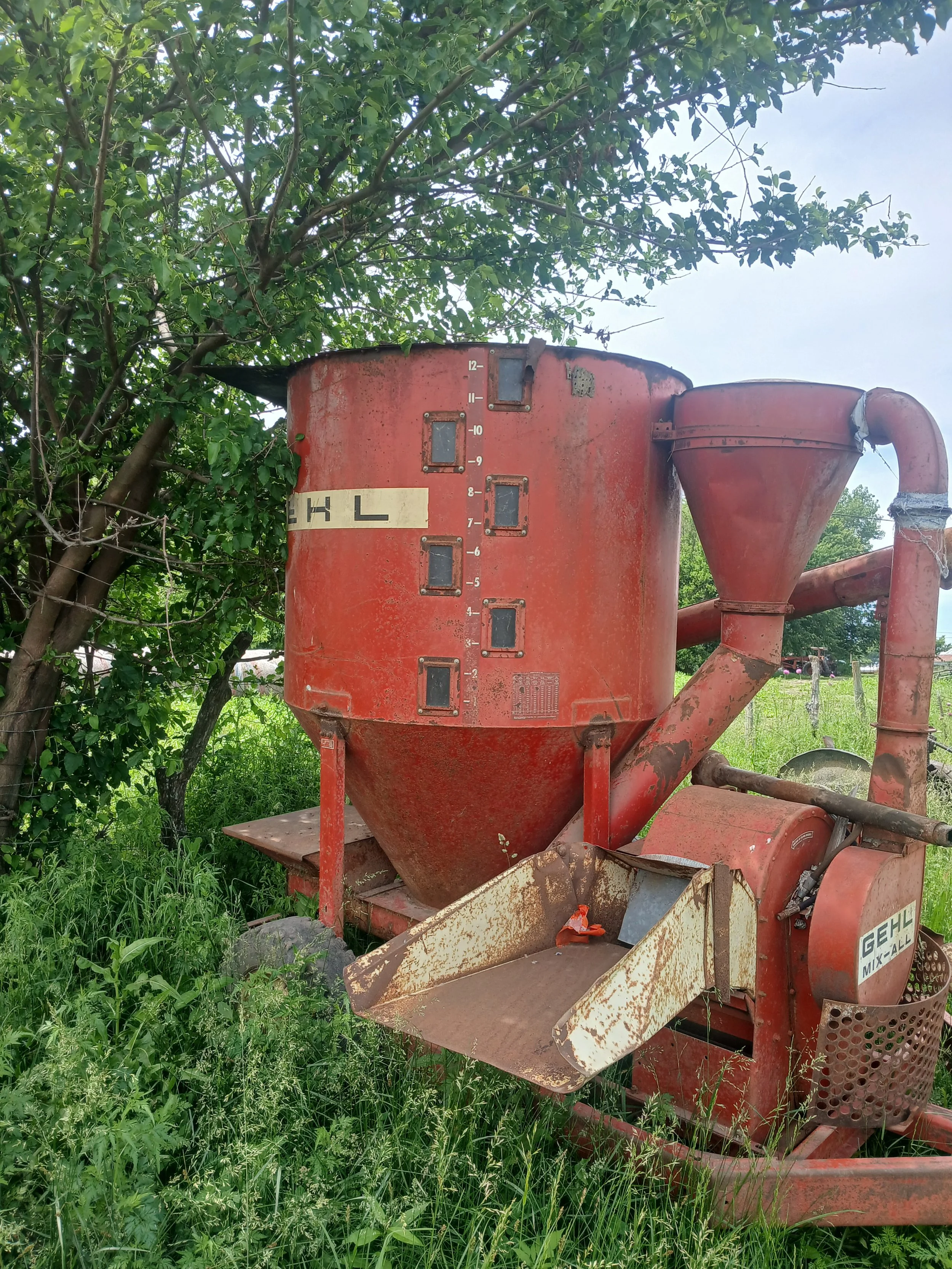 20260526_124725.jpg
