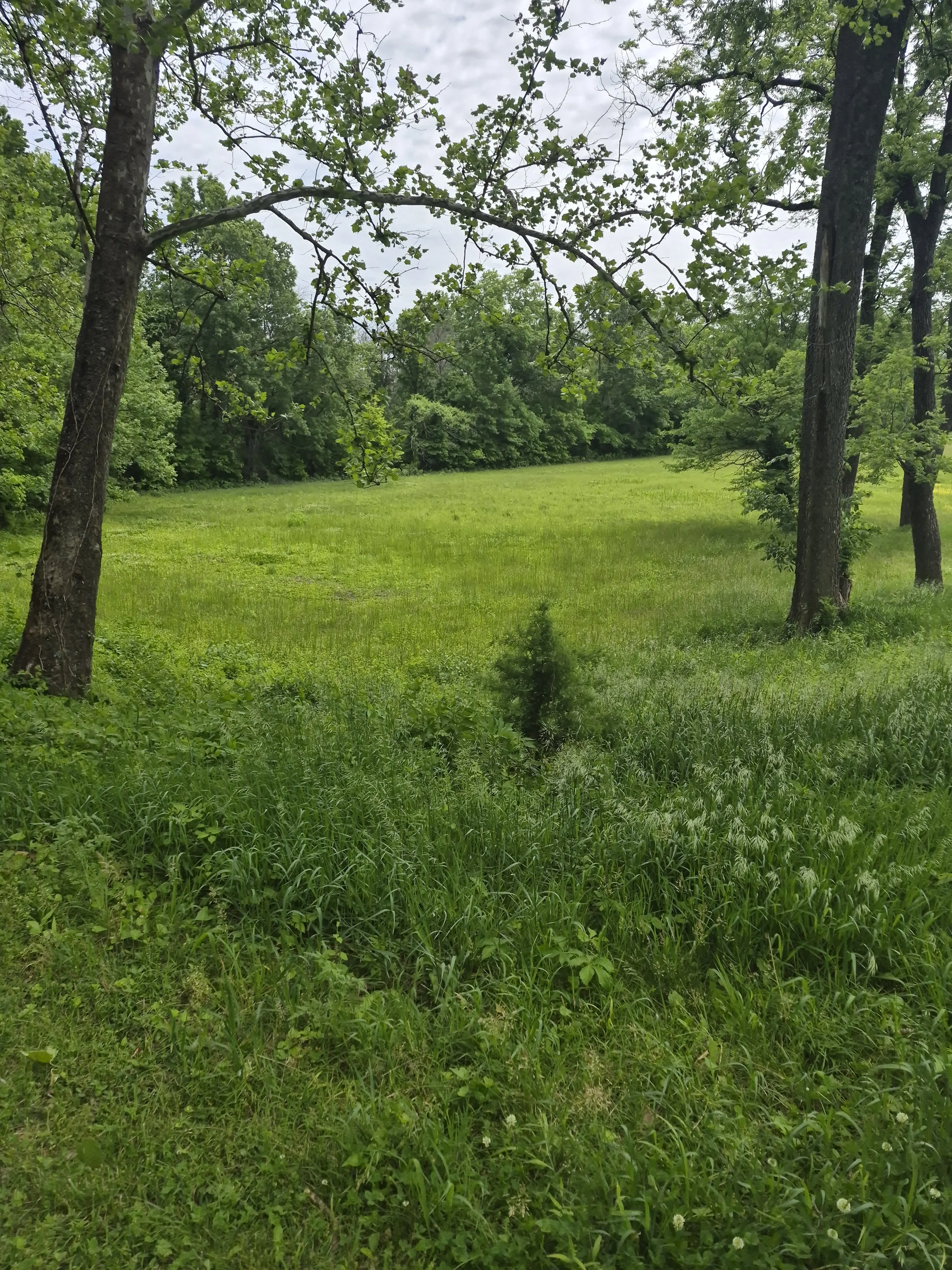 20260514_131922.jpg