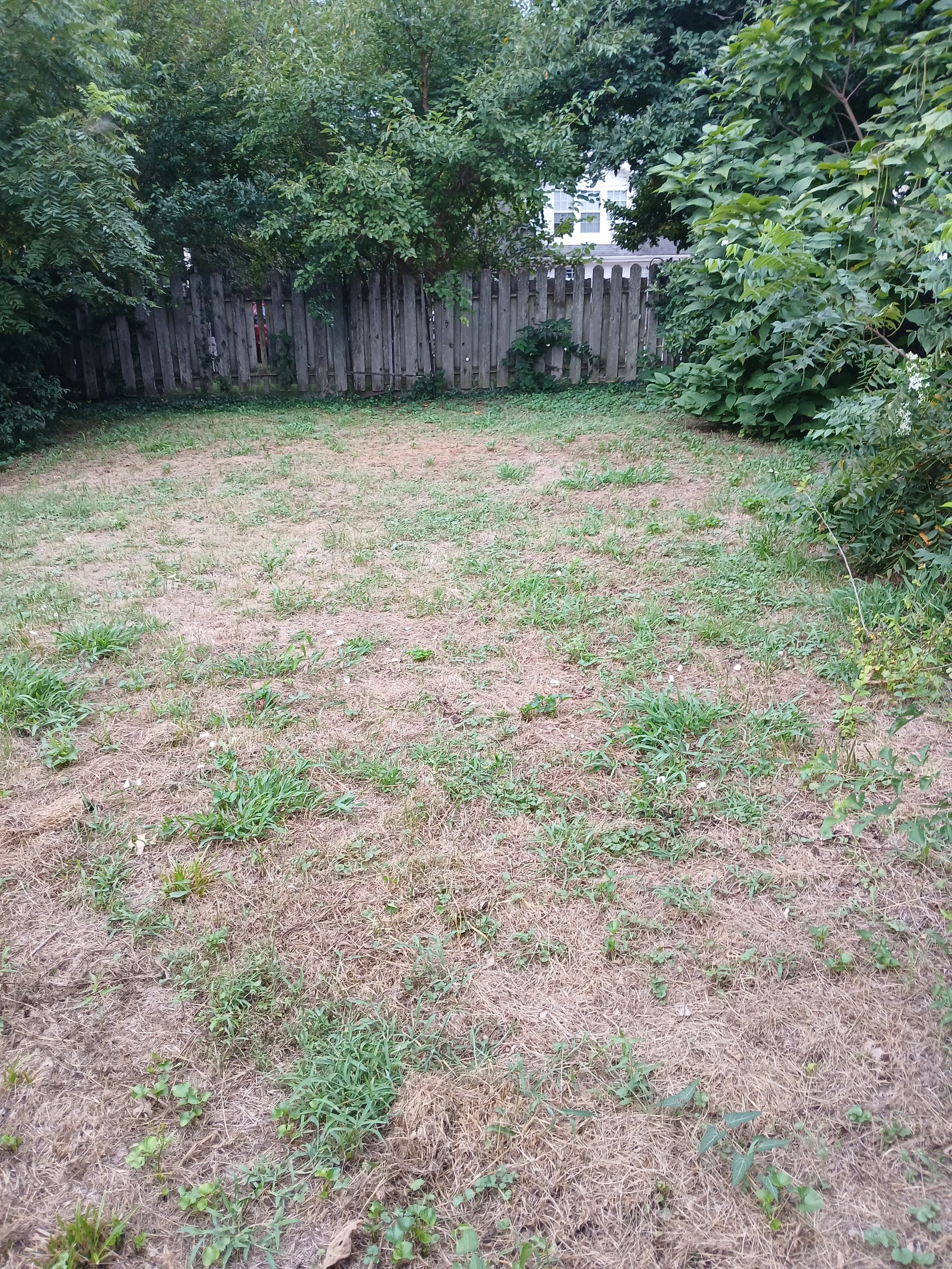 20250819_091724.jpg
