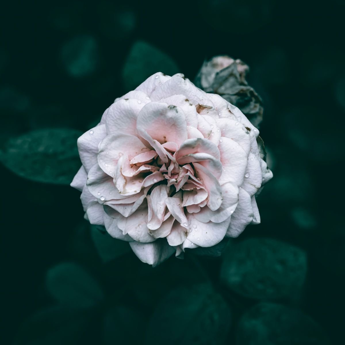 Following the Clues to Your Purpose