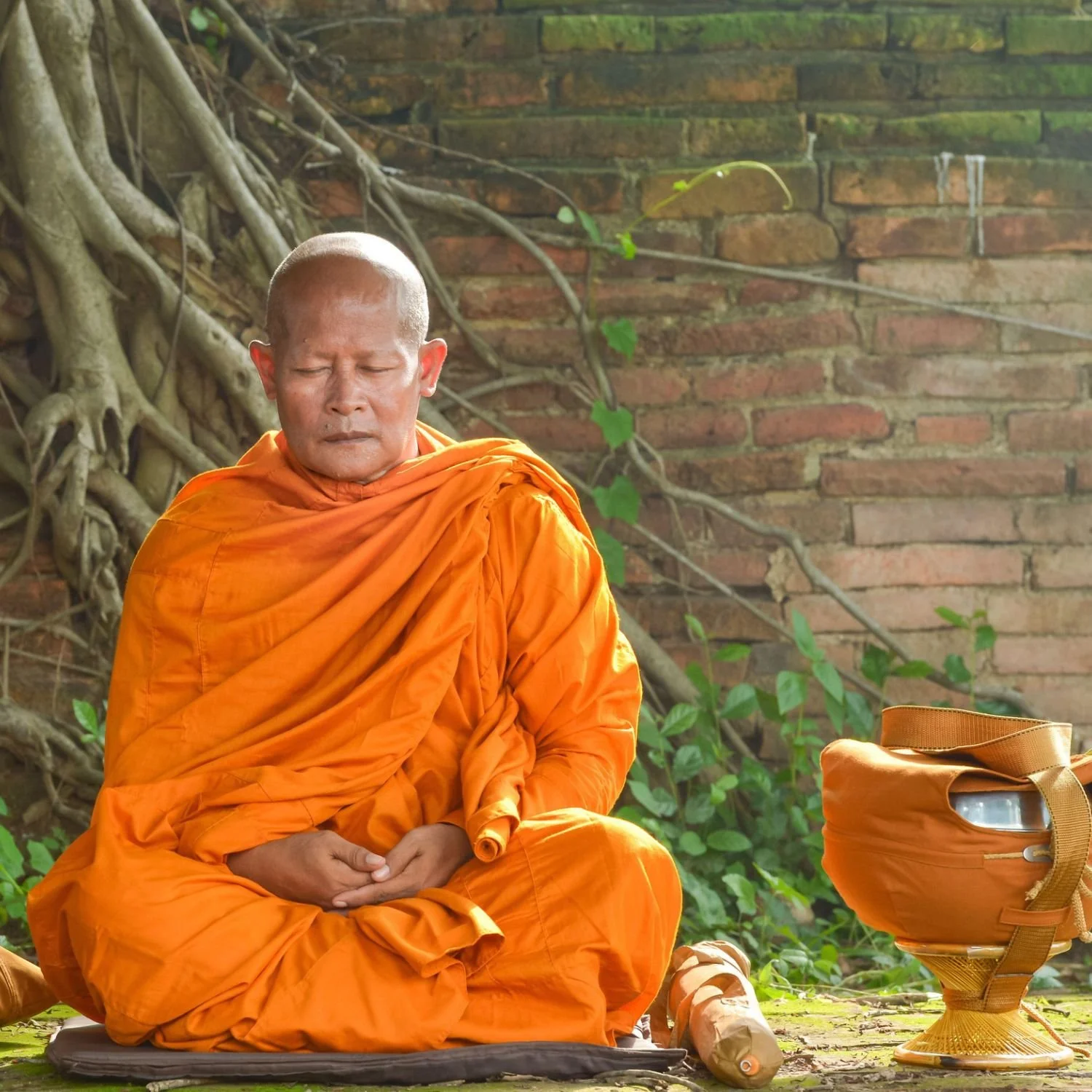 The 8 Noble Paths from Thich Nhat Hanh