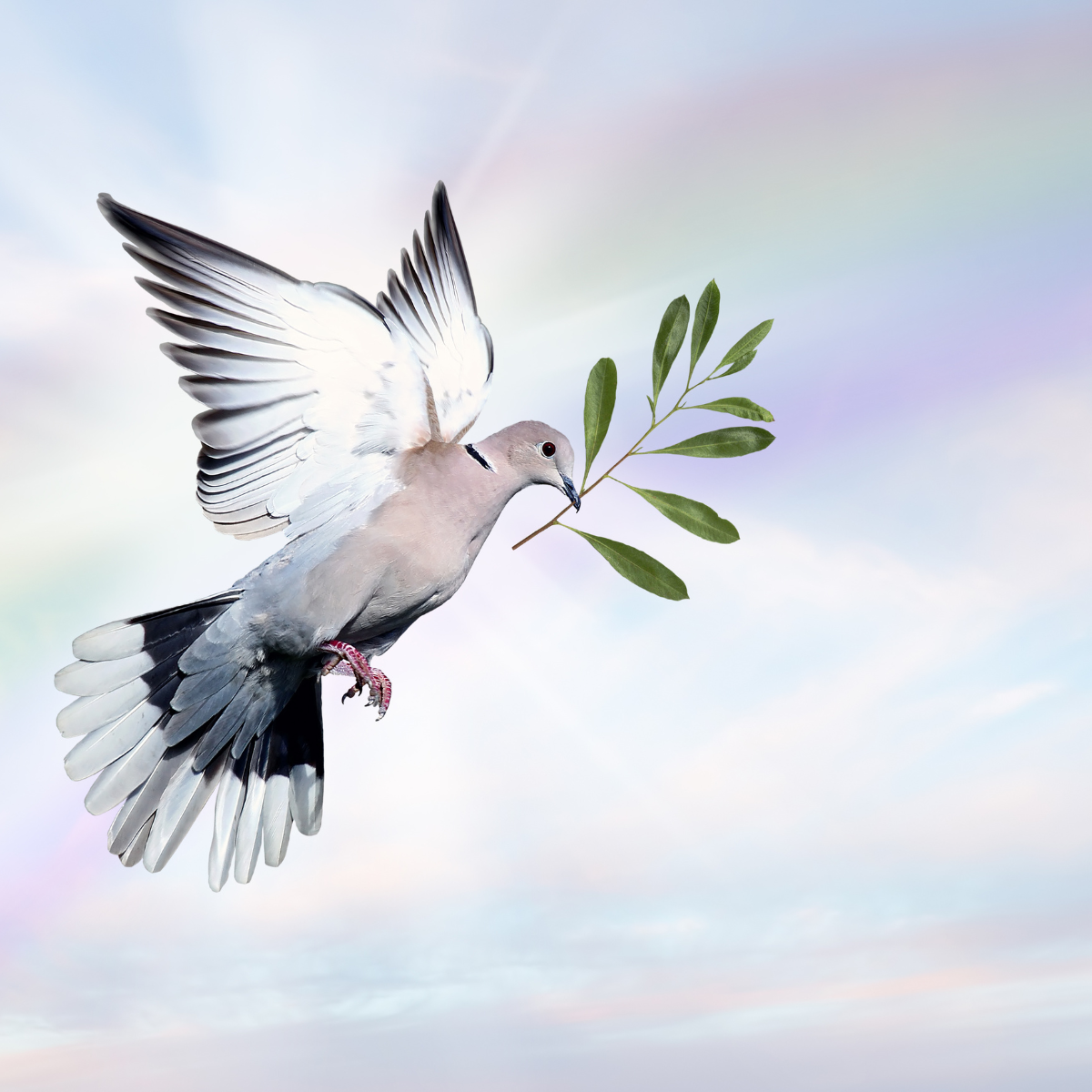 Finding peace in detachment