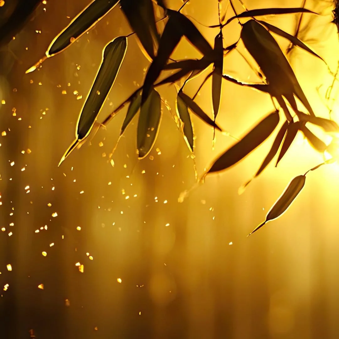 Soft natural light symbolising spiritual alignment, Reiki energy, and the Law of Allowing.