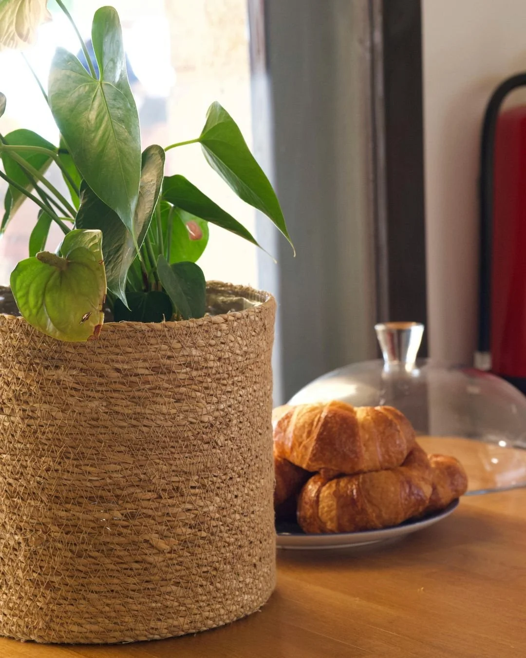 How Reiki Can Change Our Relationship With Food