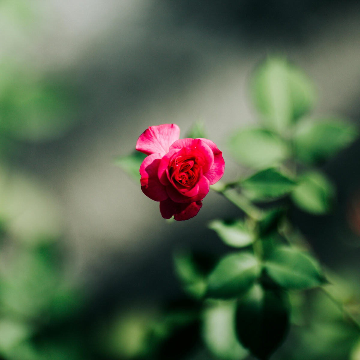 When You Don’t Yet Know Your Purpose