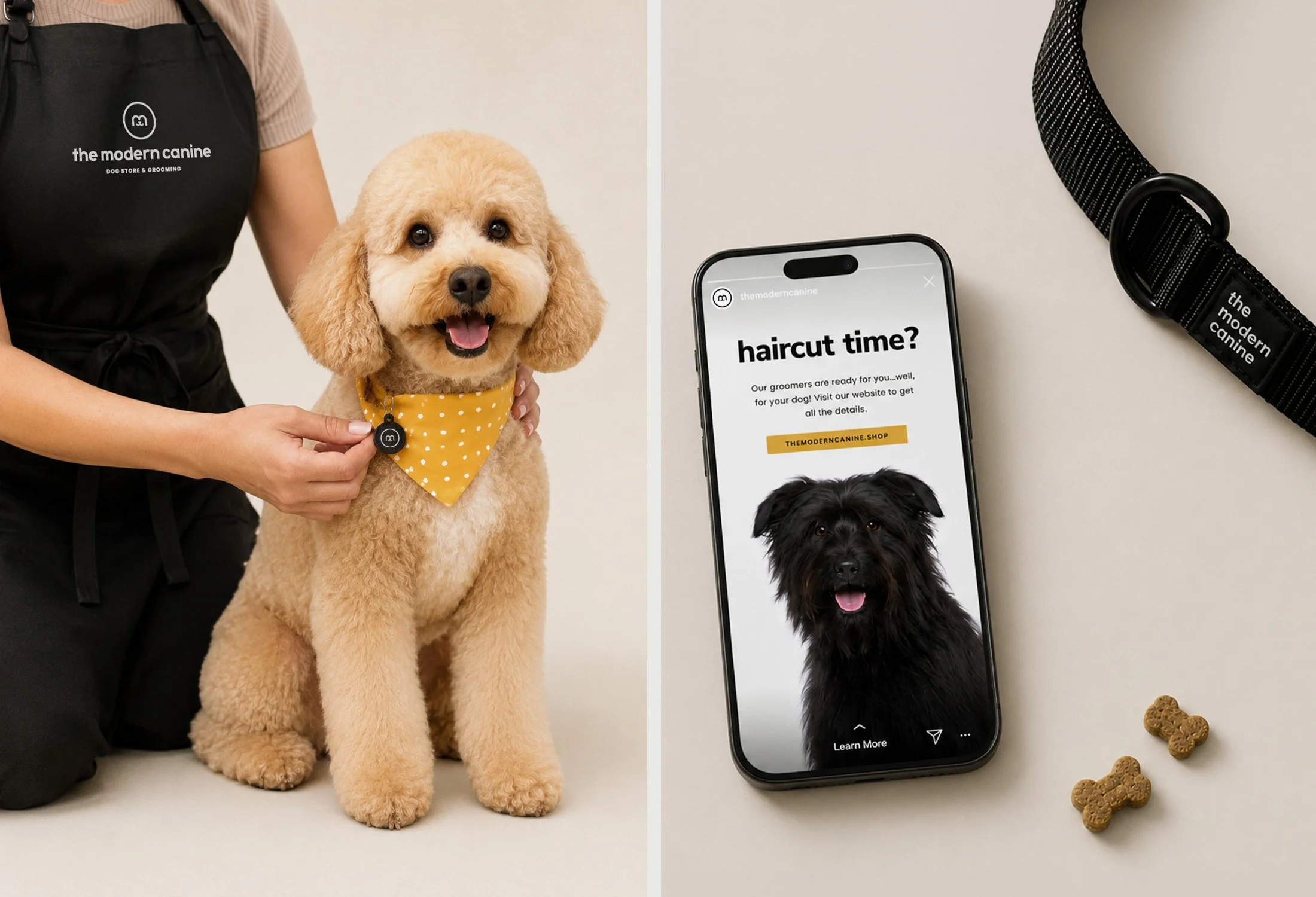 pet-store-branding-studio-mer-8.jpg