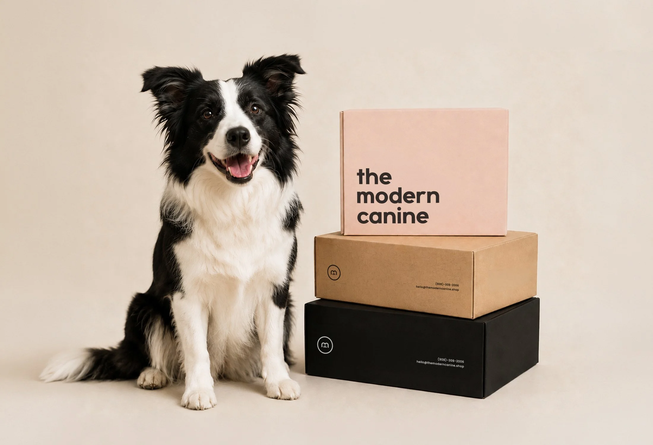pet-store-branding-studio-mer-5.jpg