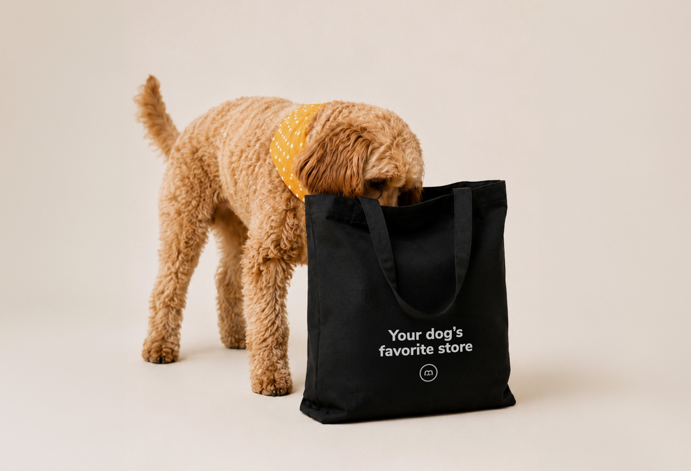 pet-store-branding-studio-mer-9.jpg