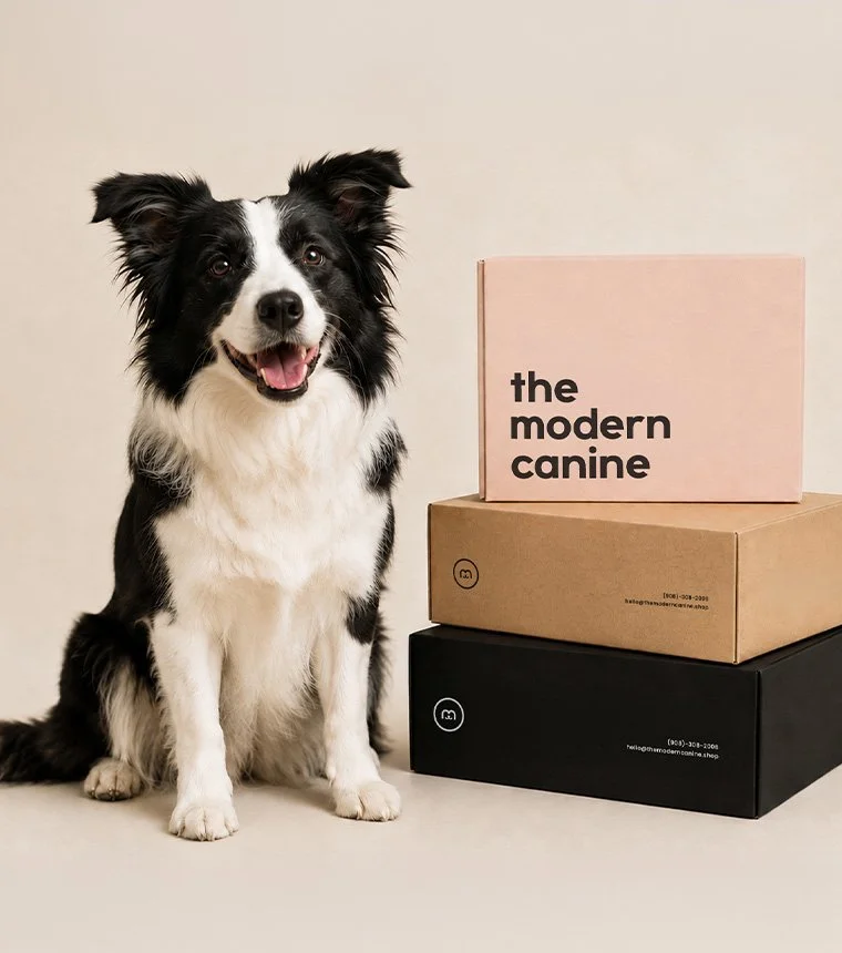 pet-store-branding-studio-mer-home-2.jpg