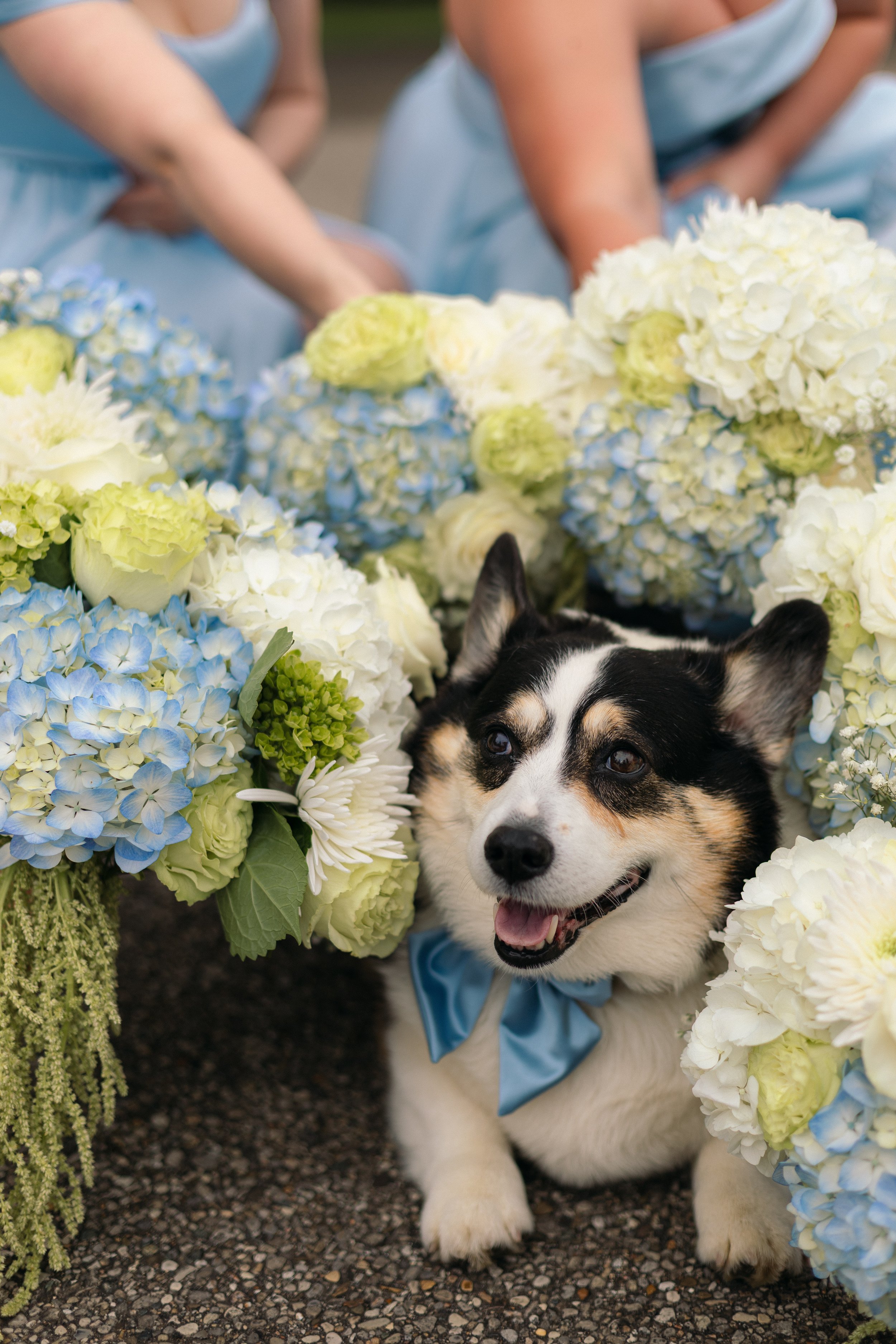 CincinnatiWeddingPhotographer-AudreyNealPhotography-53.jpg