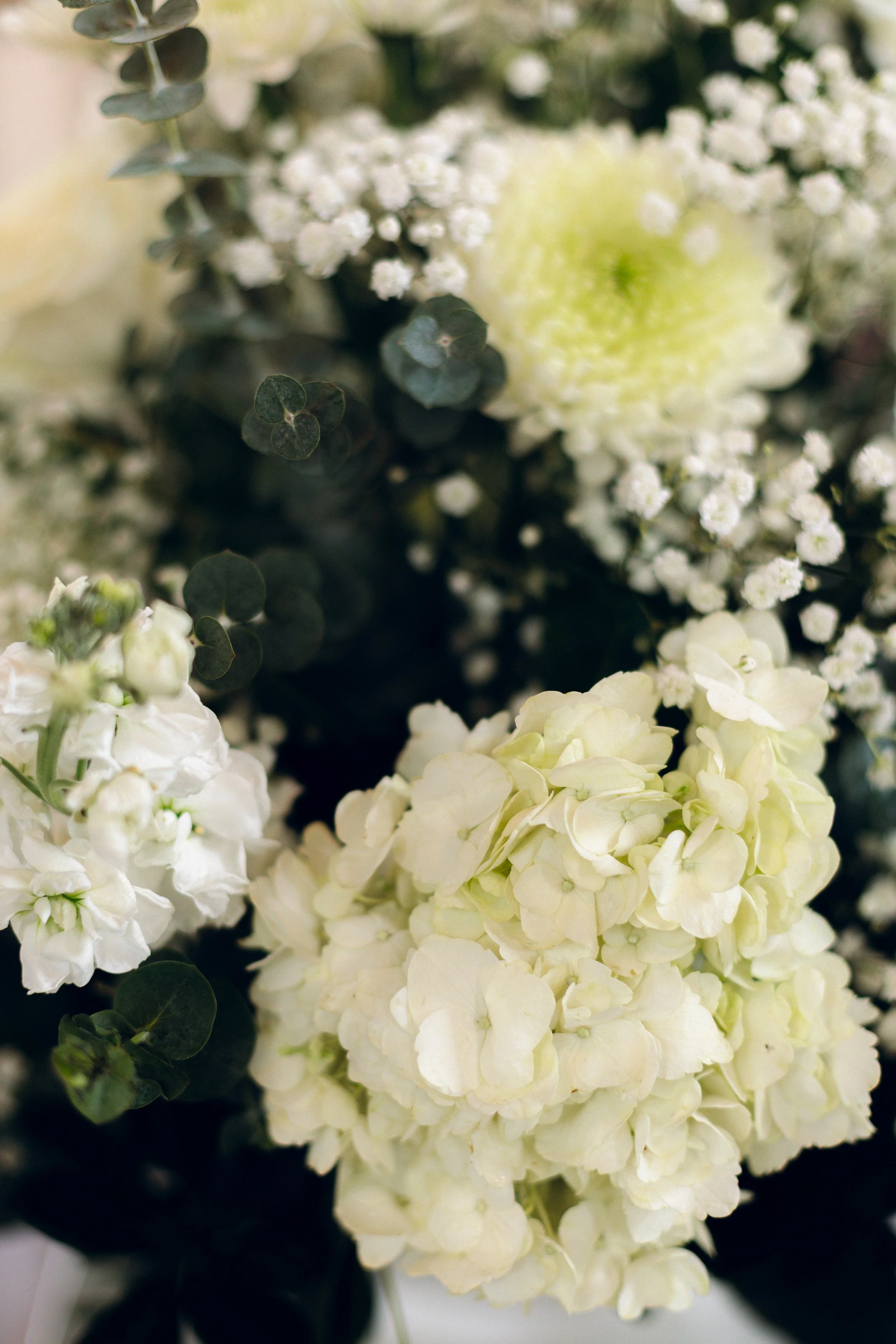 CincinnatiWeddingPhotographer-AudreyNealPhotography-4 (2).jpg