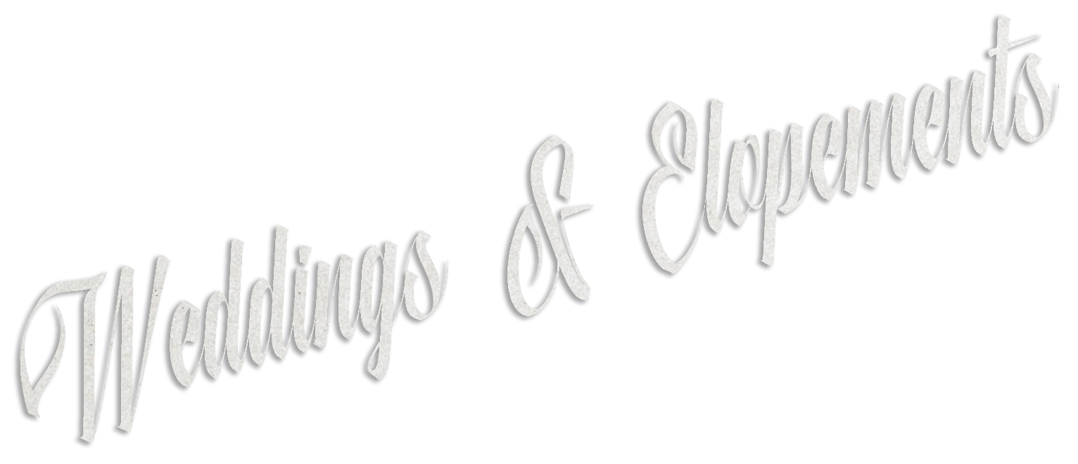 'Weddings & Engagements' Cincinnati Digital and Film Wedding Photographer-Audrey Neal Photography
