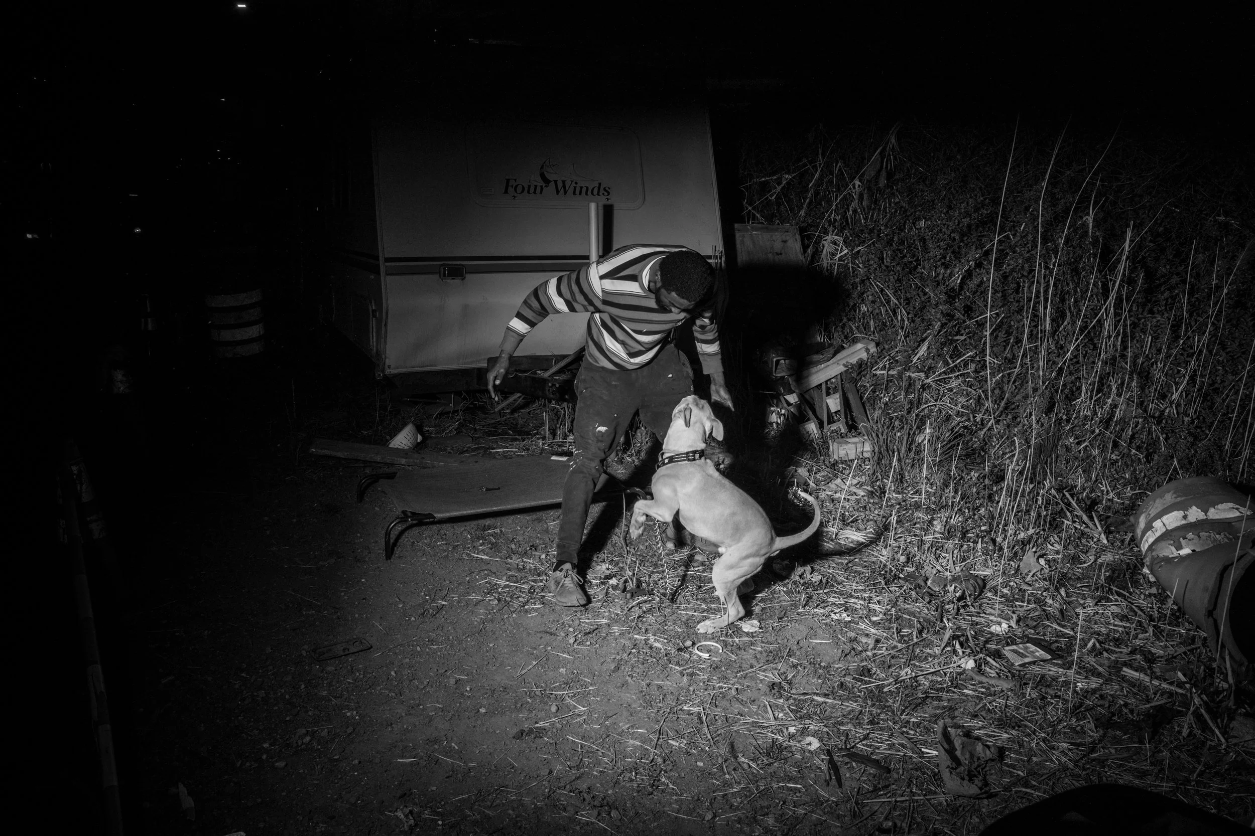 Soldier's dog_JTH_12.JPG