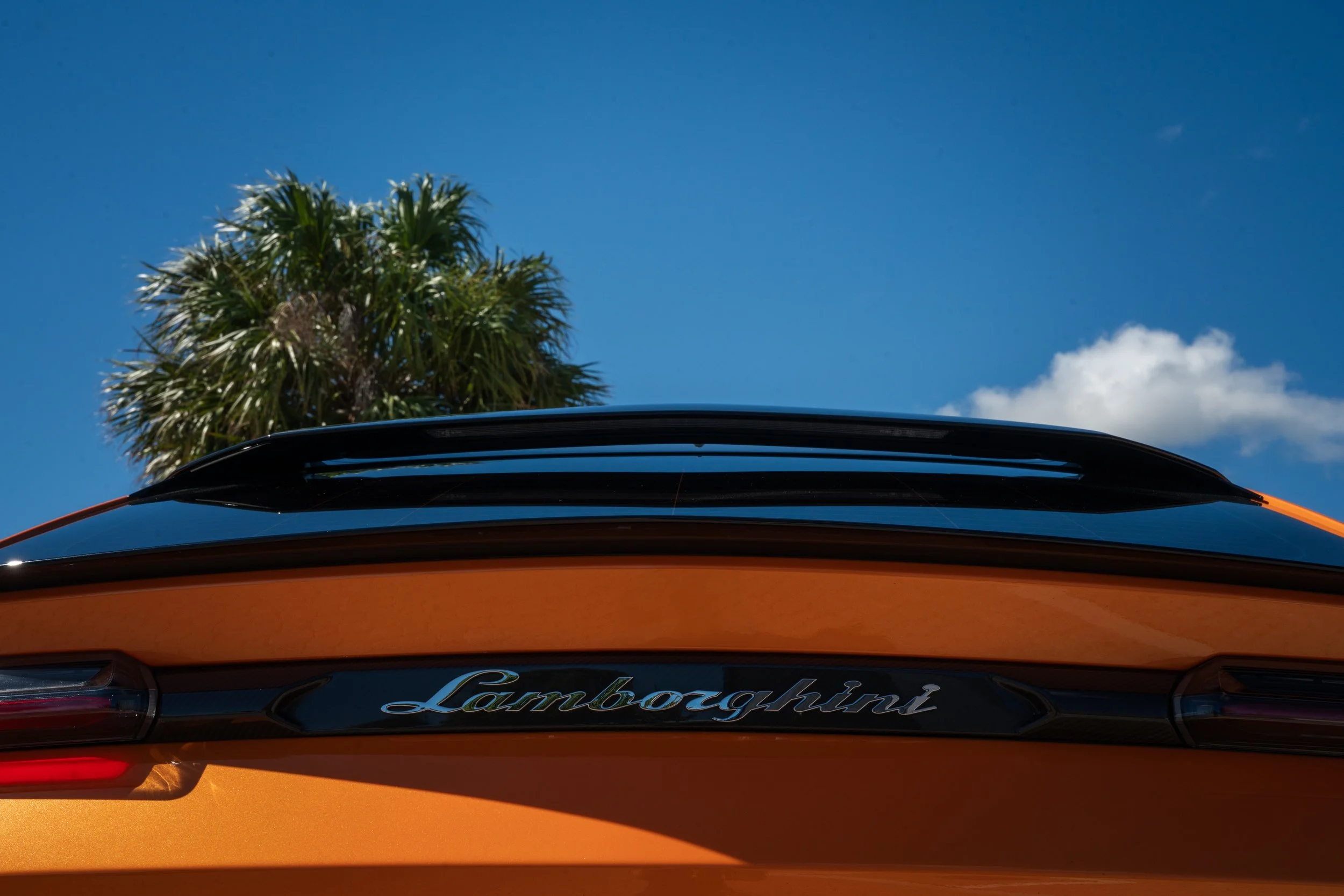 Close-up of the rear of an orange Lamborghini car with the Lamborghini logo, under a blue sky with palm tree and clouds in the background.