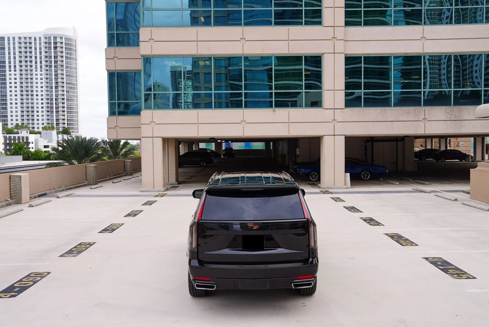 6-escalade08793.jpg