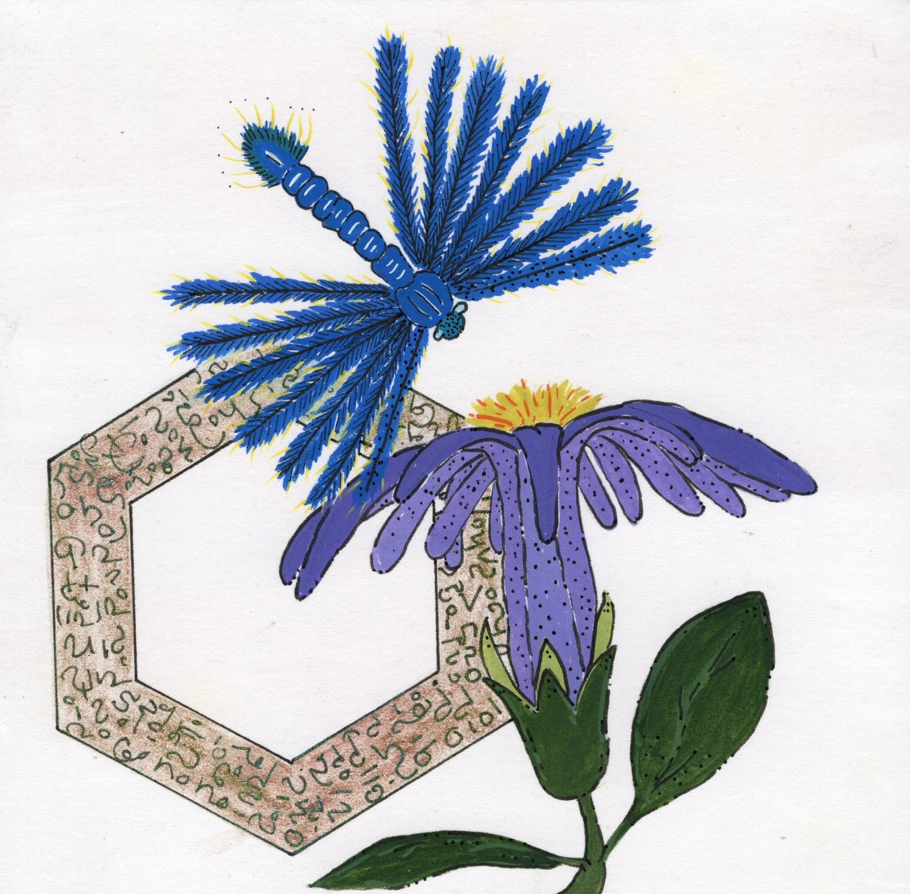 Dream -azul.jpg