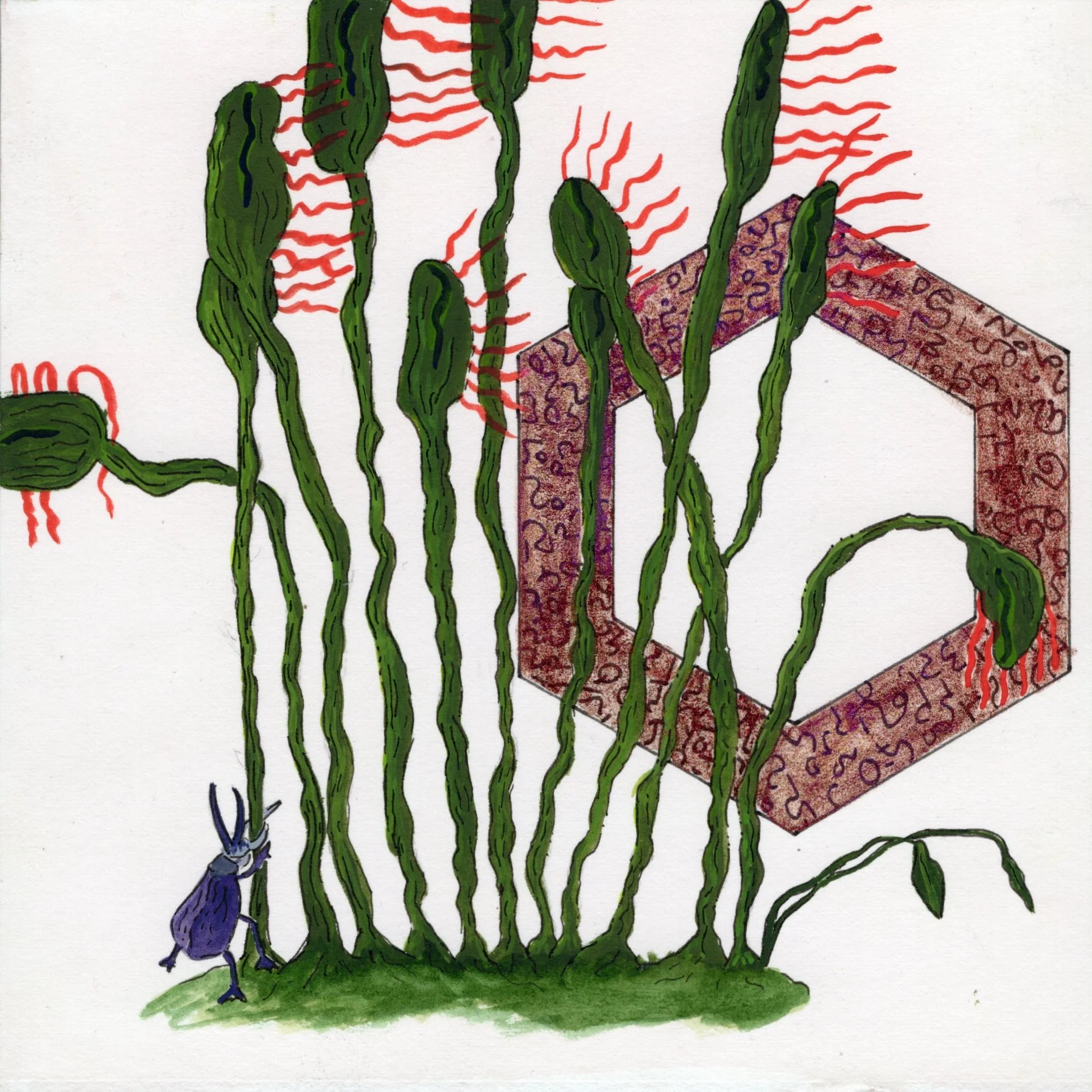 Dream - Esarabajo chico.jpg