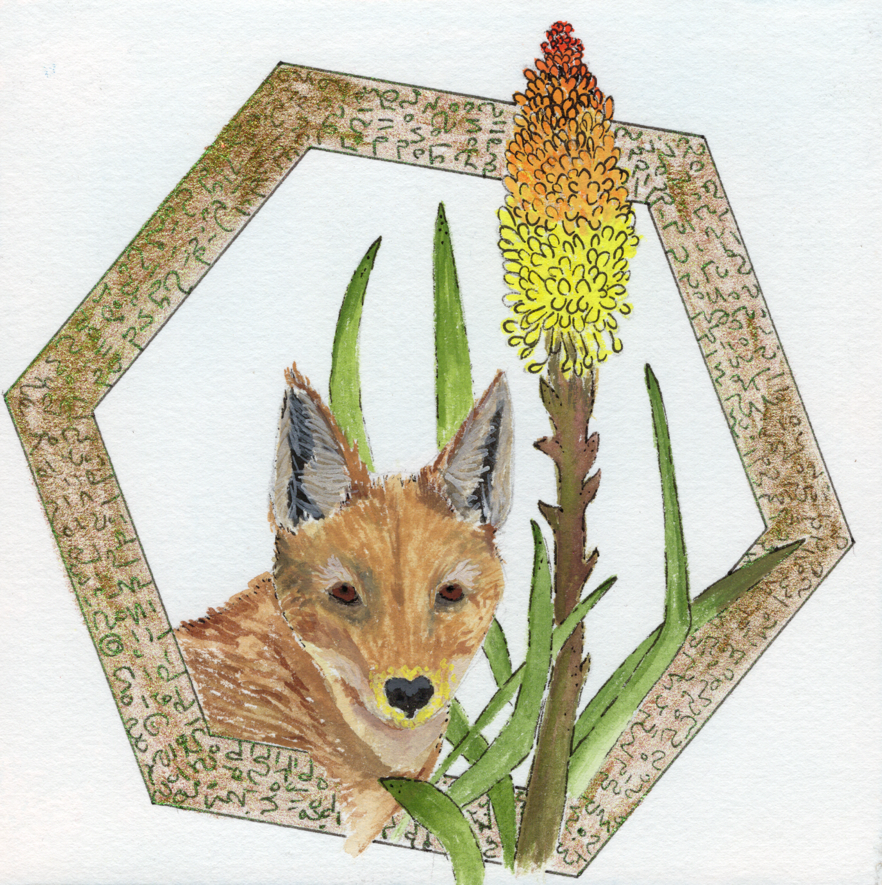 Ethiopian Wolf.png