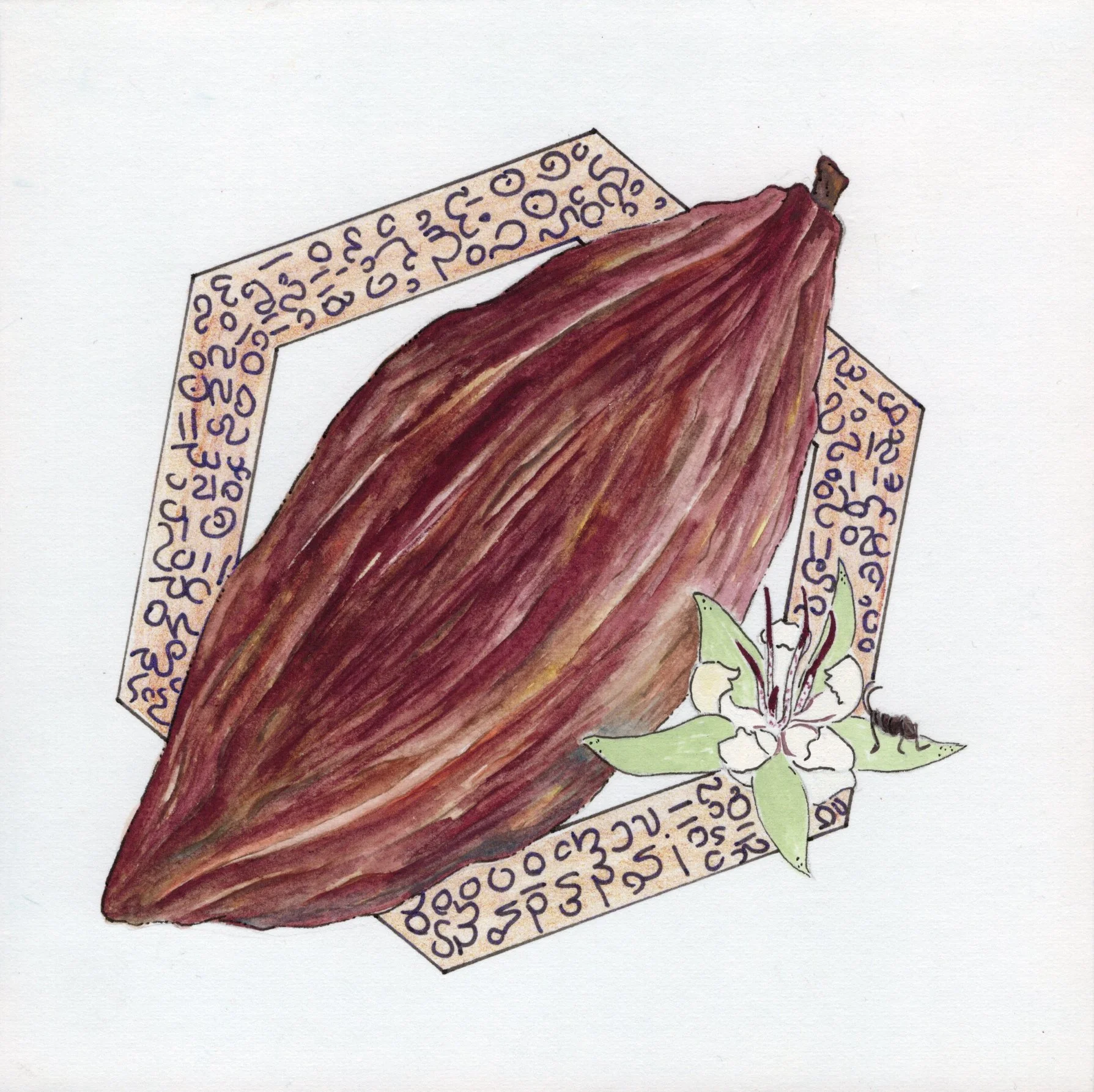 Cacao.jpg
