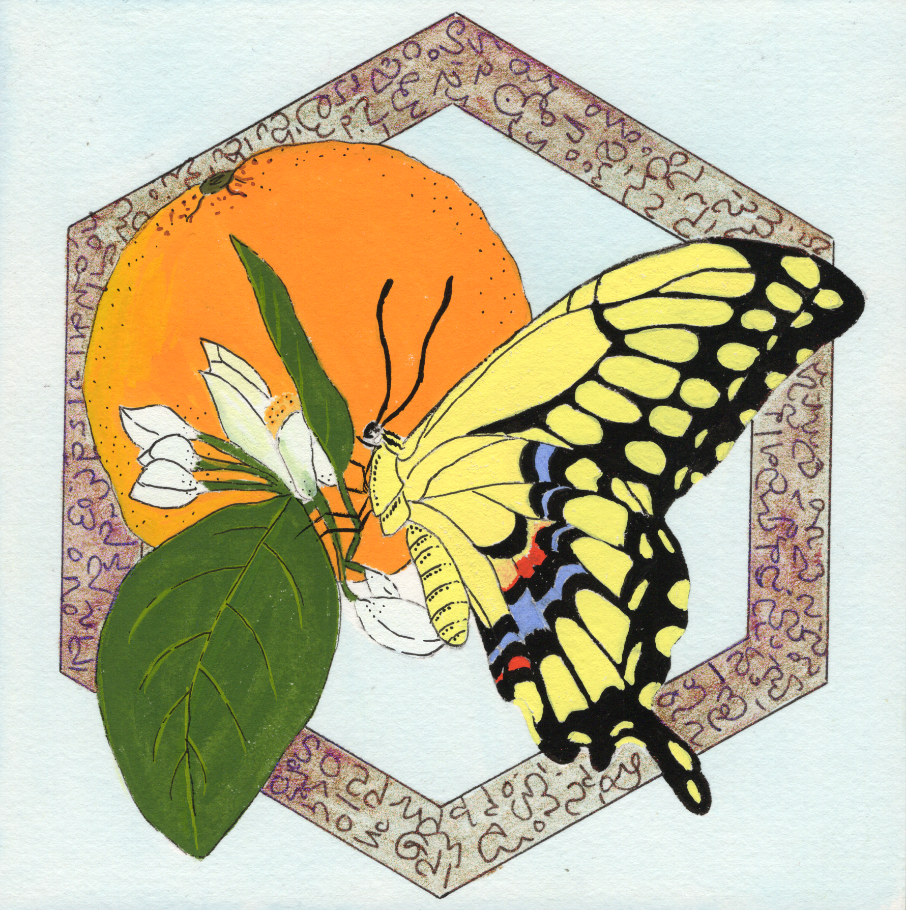 SwallowTail.png