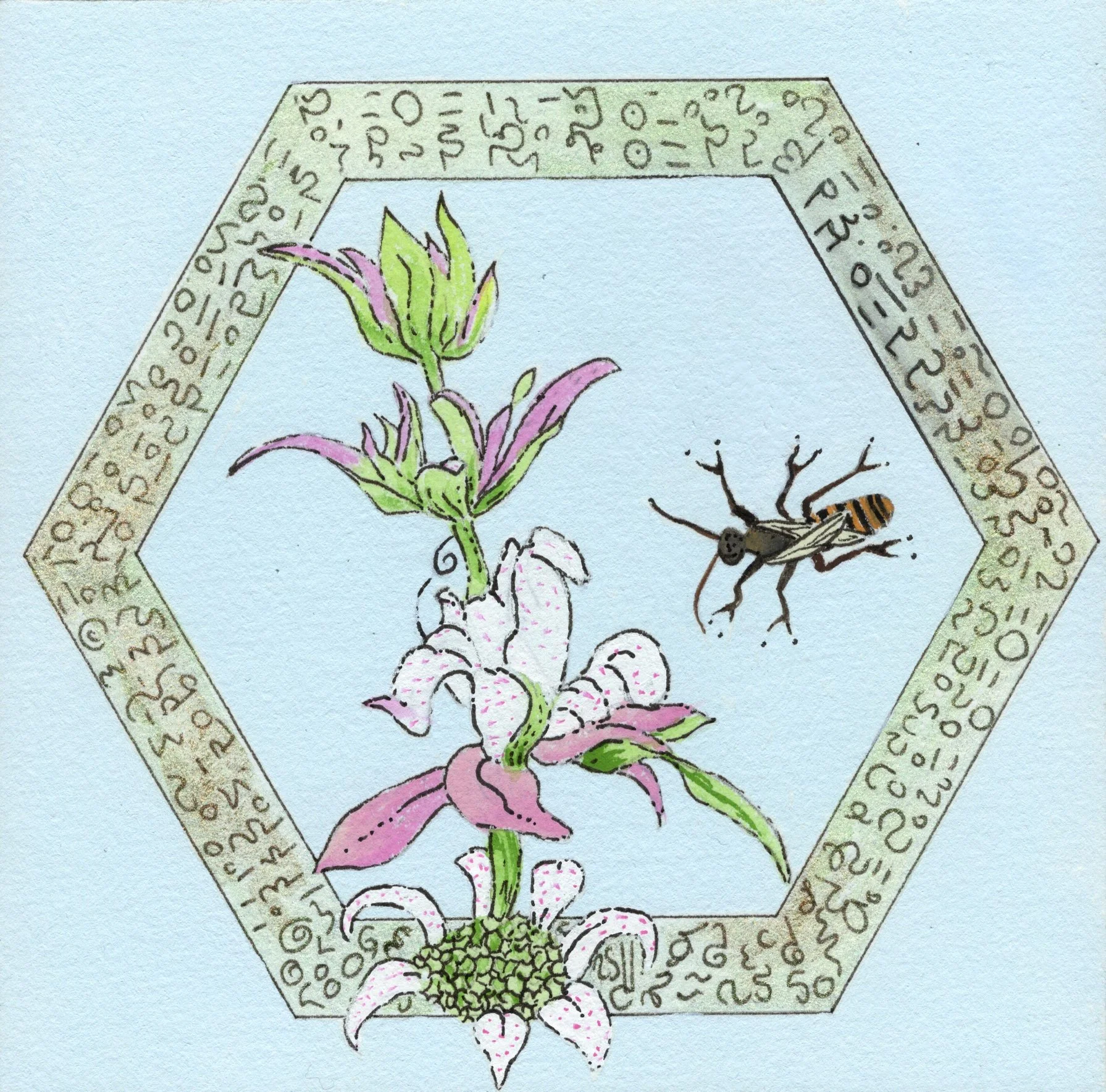 Bee Balm Fairy Bee.jpg