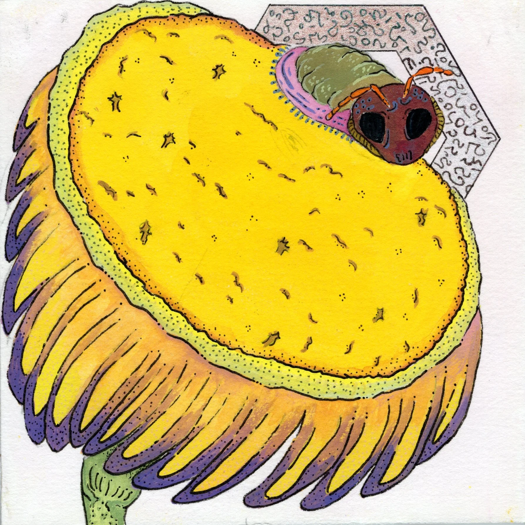 Dream - Bear Flower.jpg