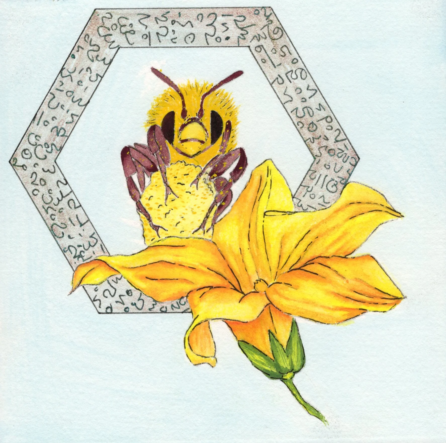 Squash Blossom.jpg