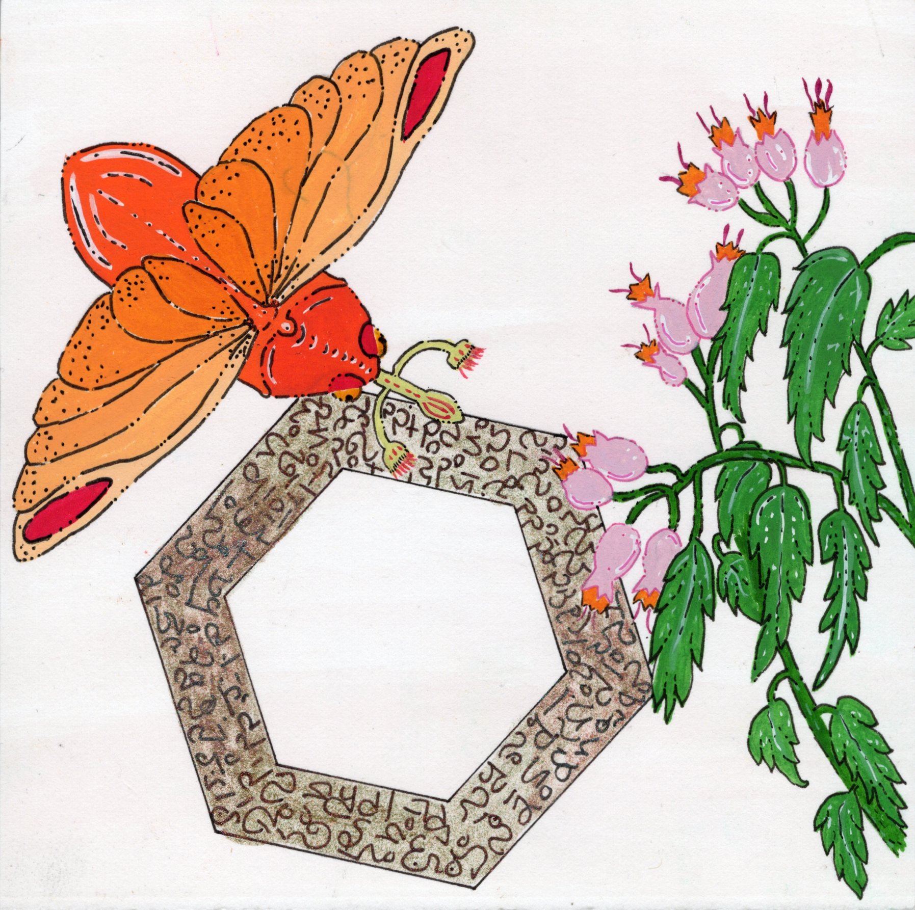 Dream - Moth.jpg
