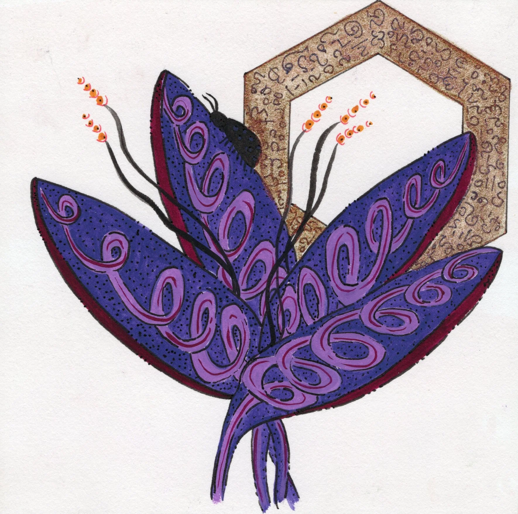 Dream - Morado.jpg