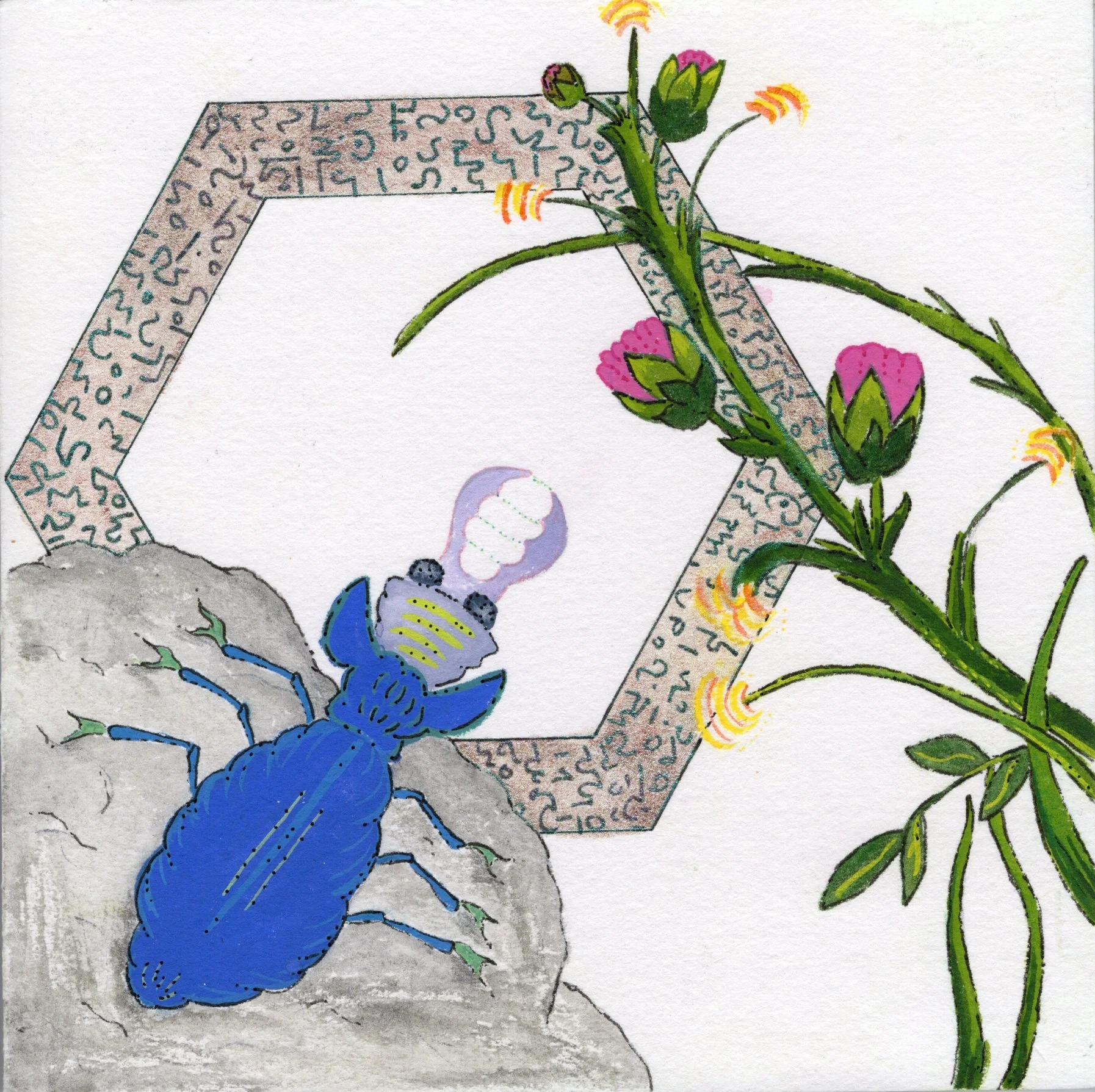 Dream - Pinsas.jpg