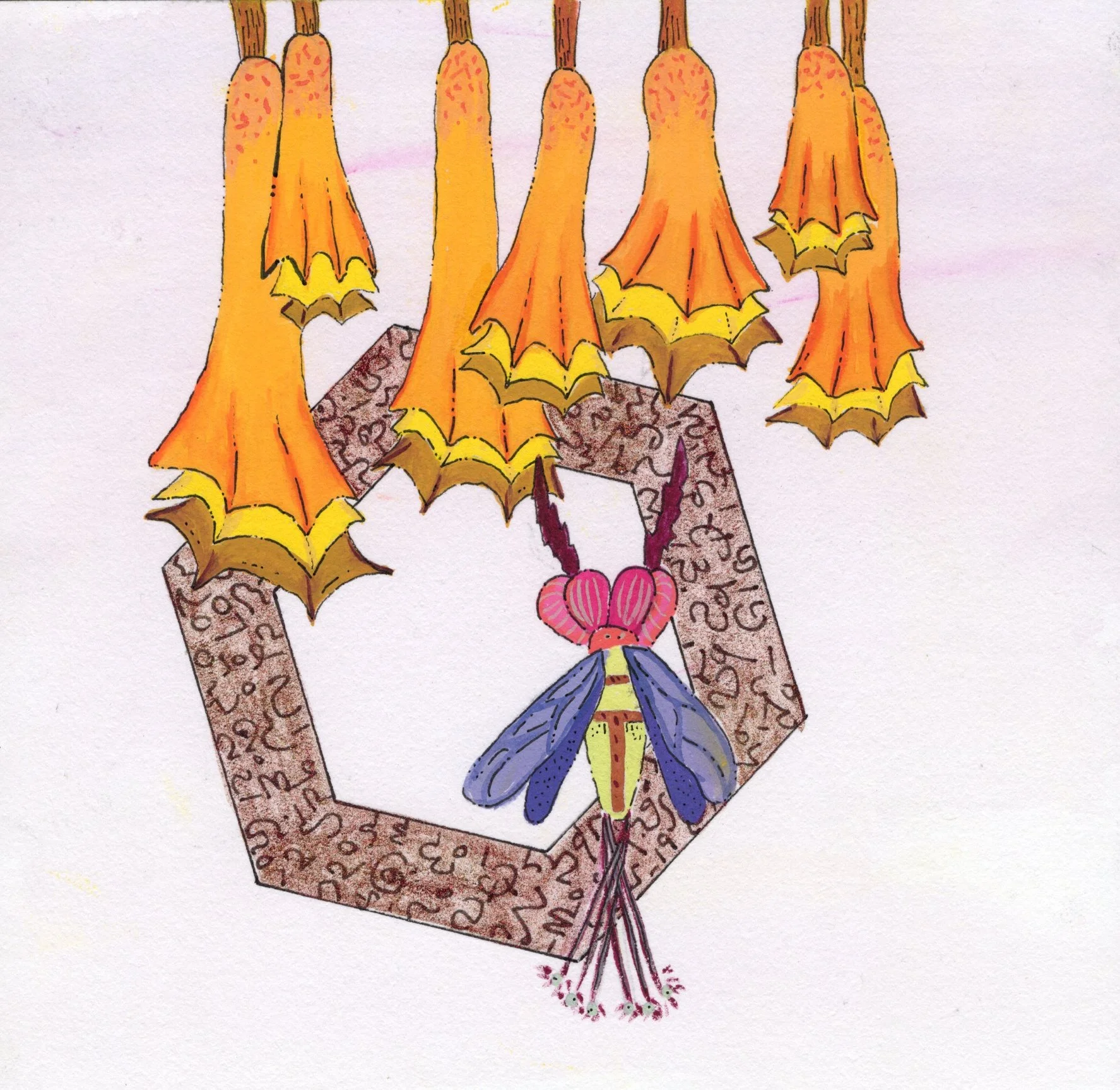 Dream-Orange.jpg
