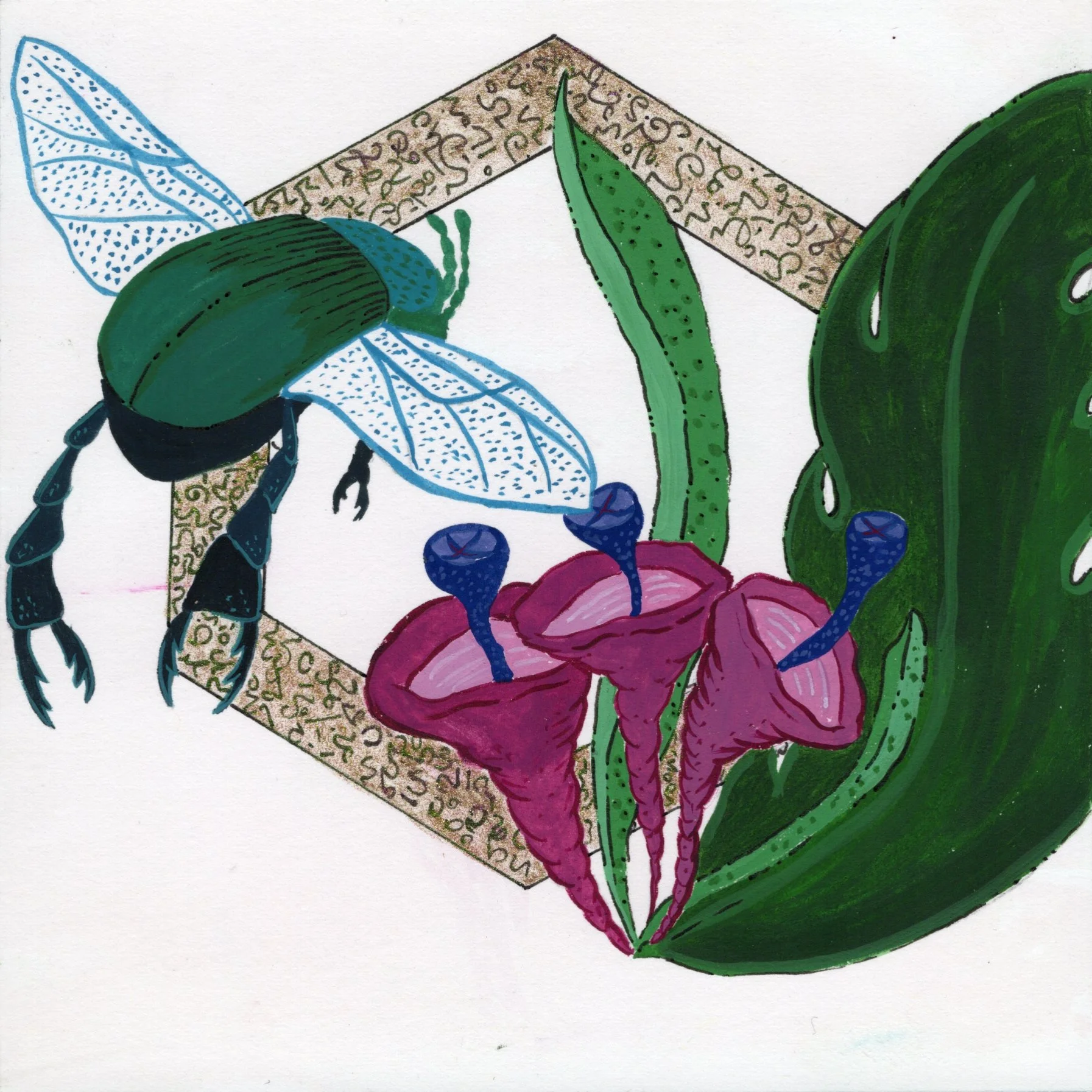 Dream - Escarabajo.jpg