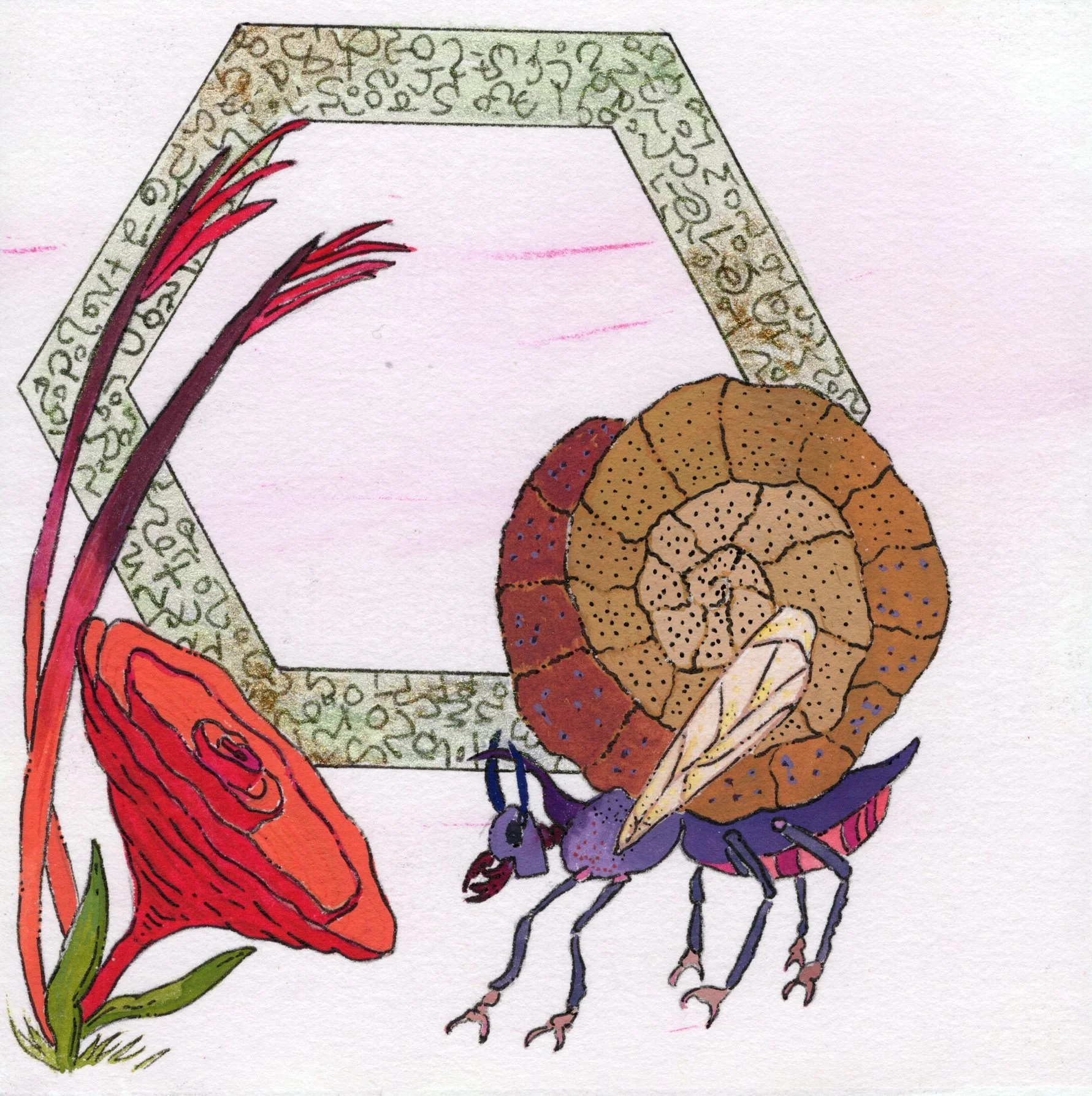 Dream - Caracol.jpg