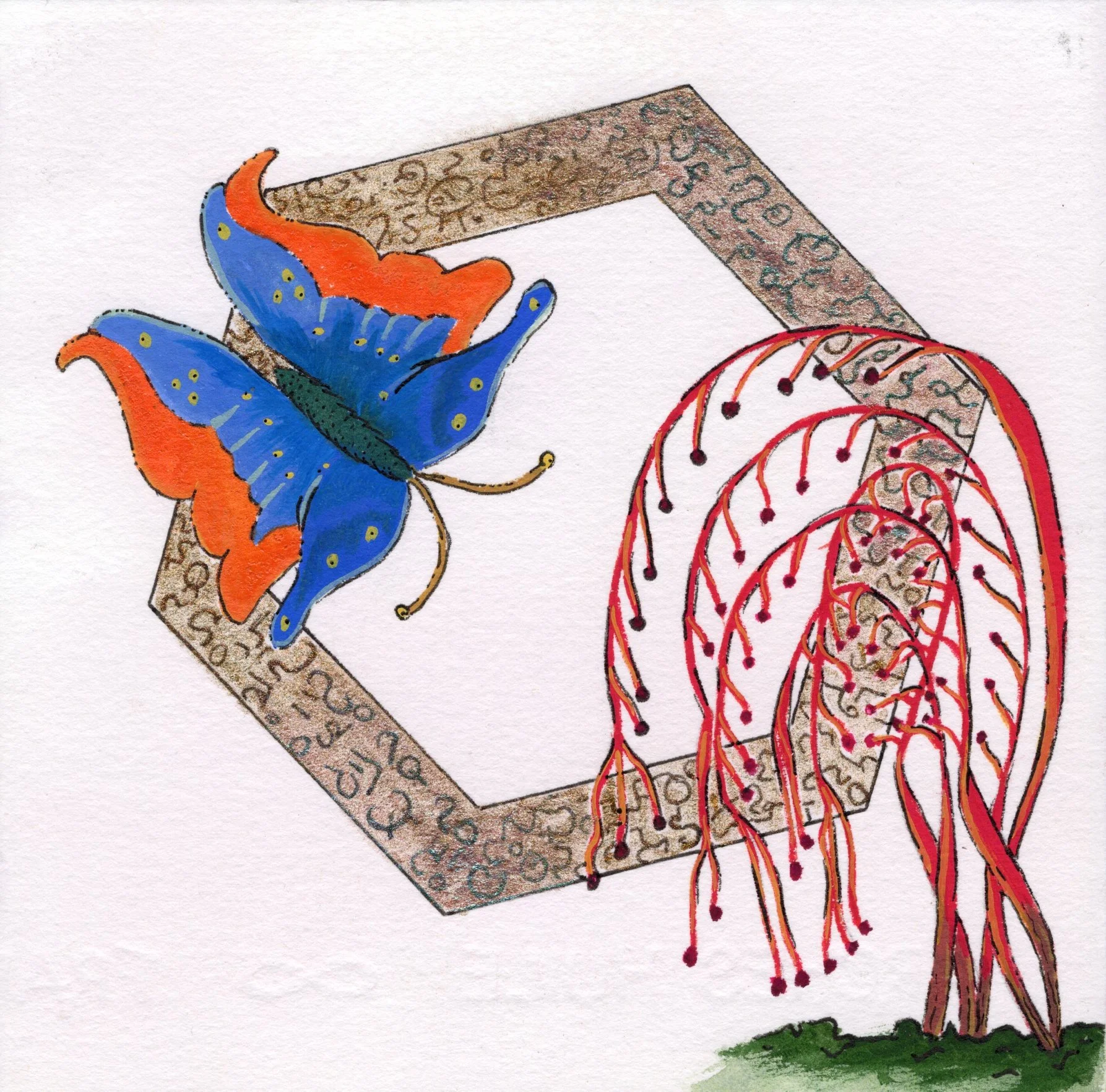 Dream - Mariposa.jpg