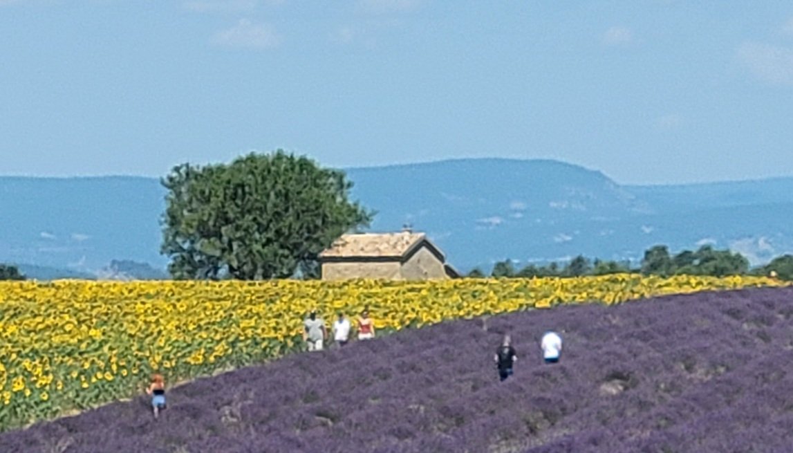 20210720_114851.jpg