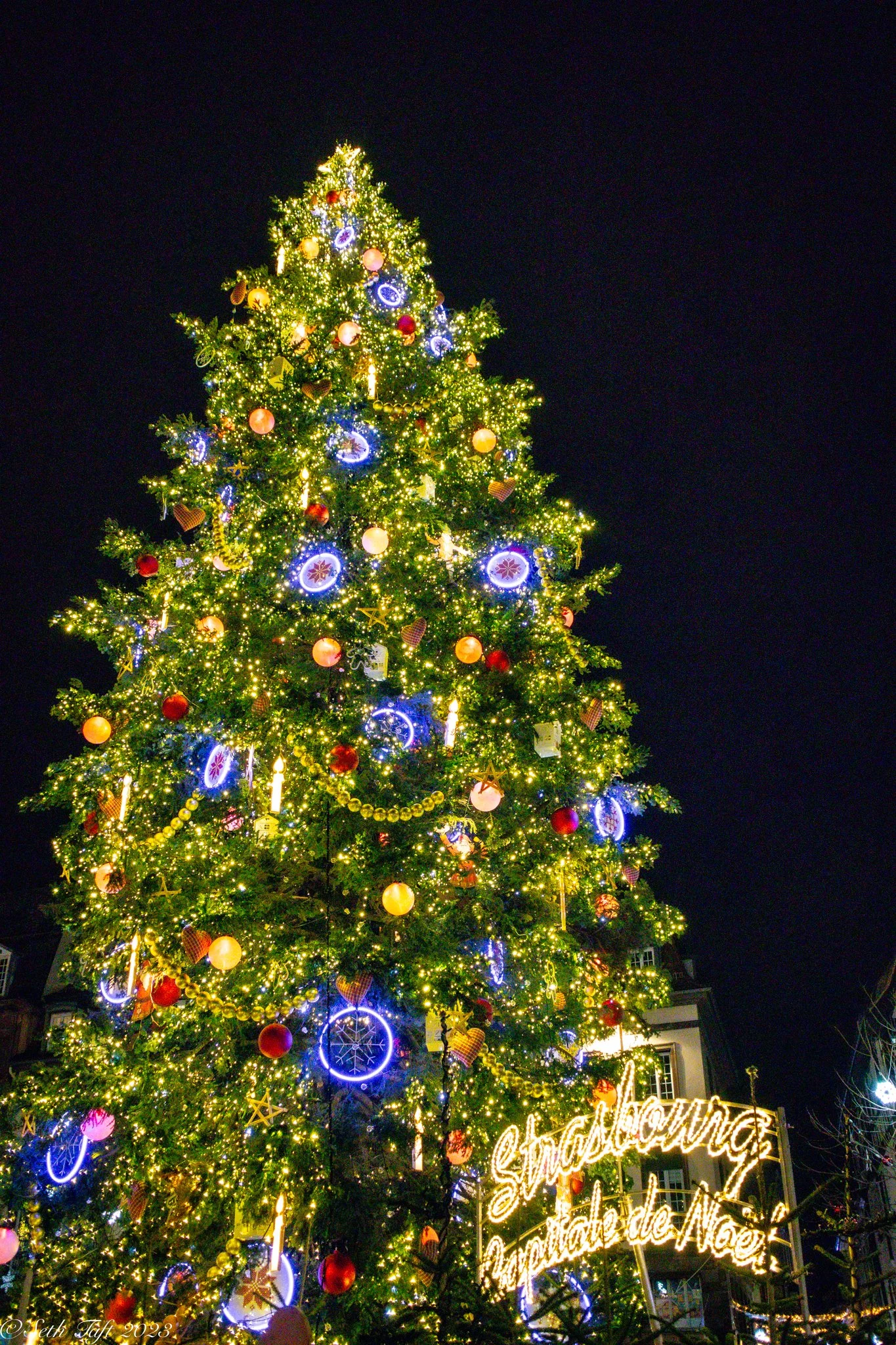 Christmas Tree.jpg
