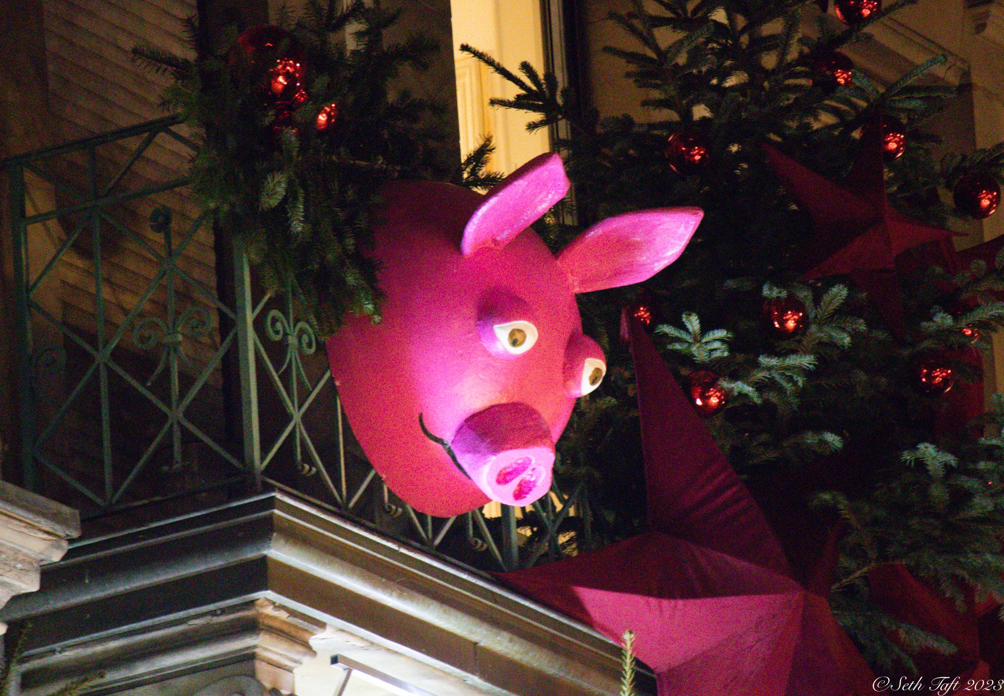 The Pig.jpg
