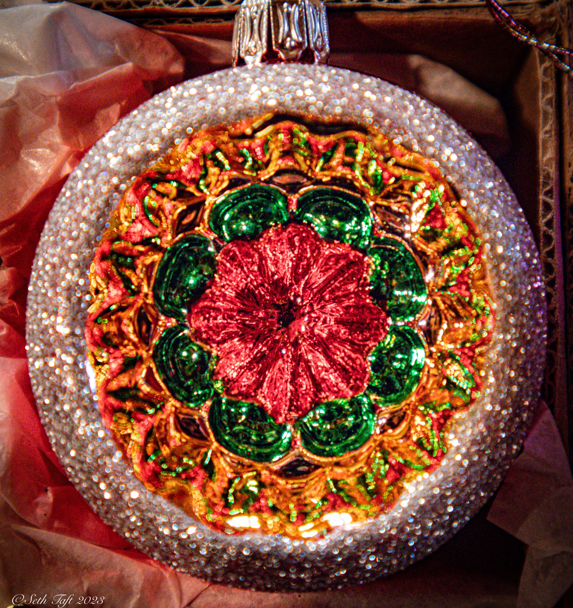 Christmas Ornament.jpg