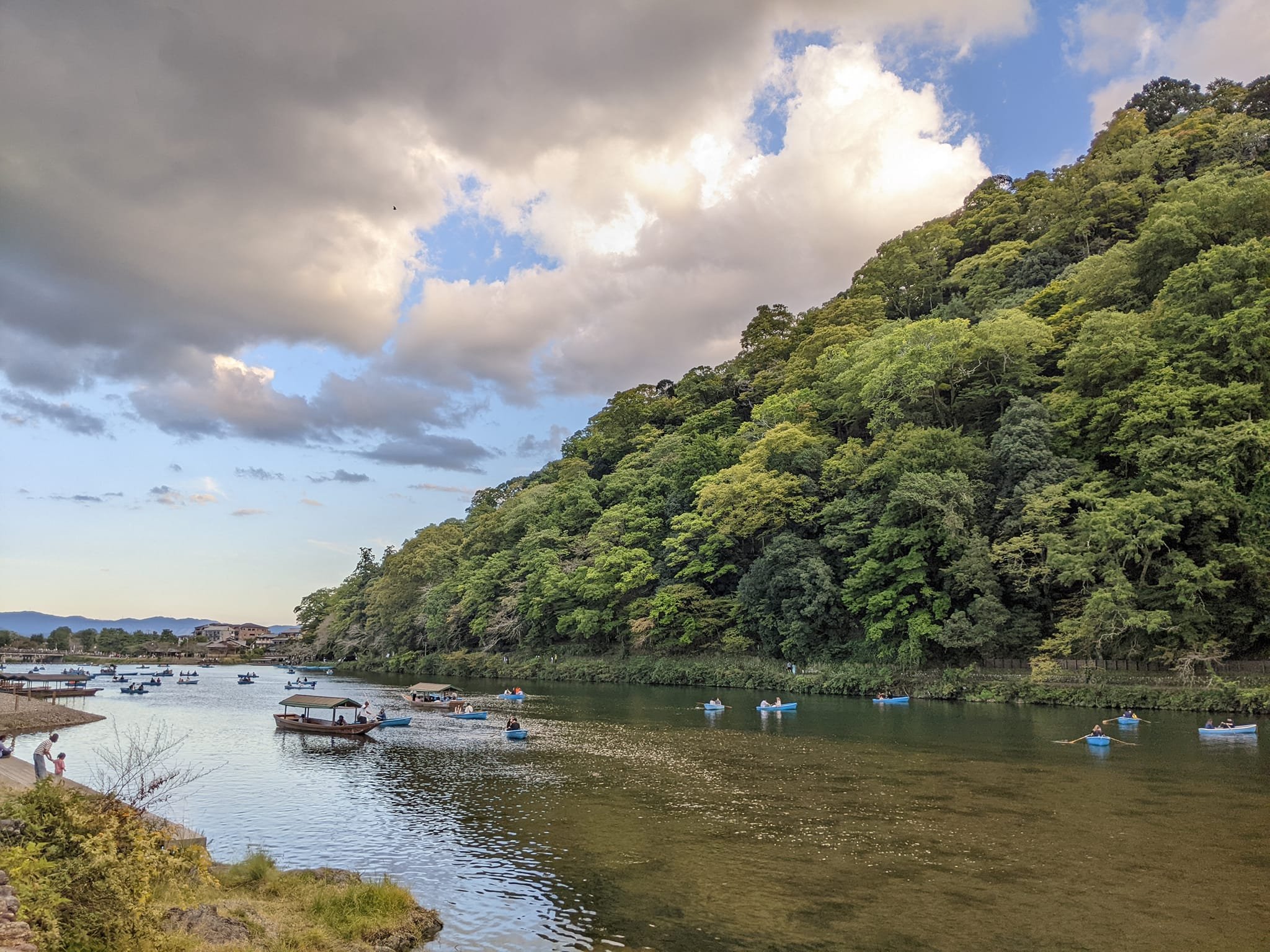 Nature background, symbolizing shared connection among therapist and clients by virtue of living in the same world; symbolizing strengths-based, trauma-informed, online therapy based in the bay area, california