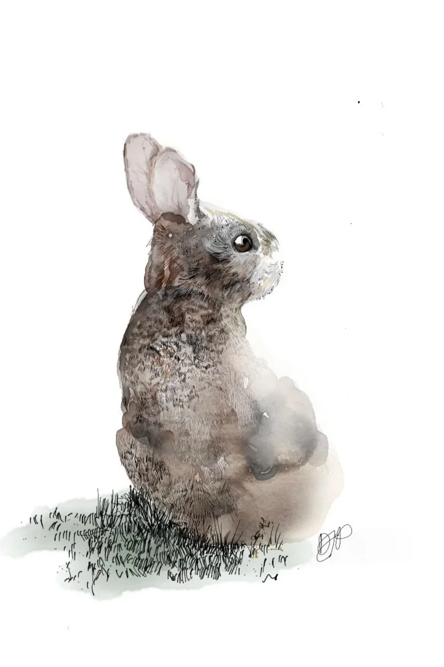 Young Rabbit